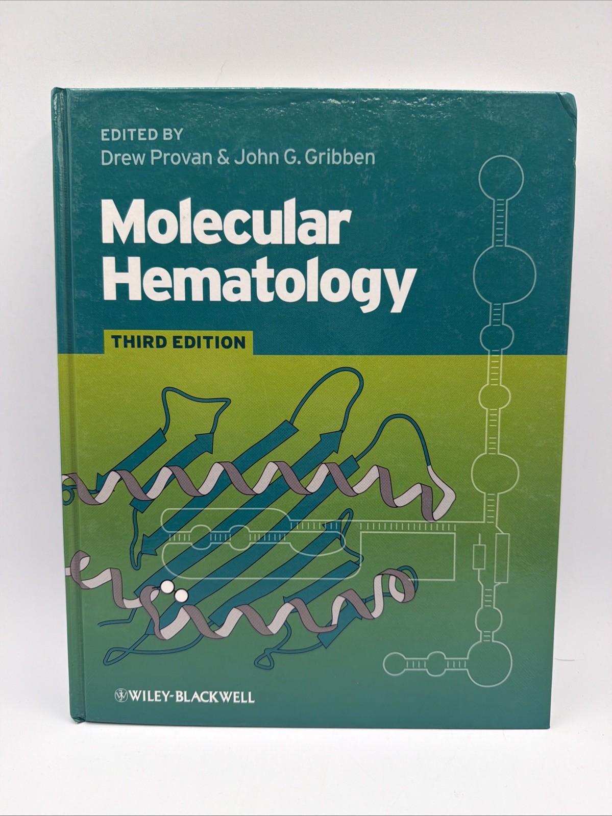 Molecular Hematology by Drew Provan (2010, Hardcover)