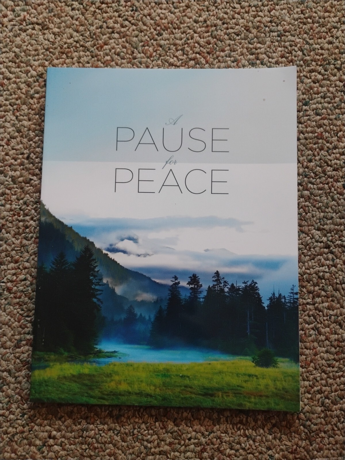 A Pause for Peace by Clifford Goldstein Paperback 1992 96 Pages