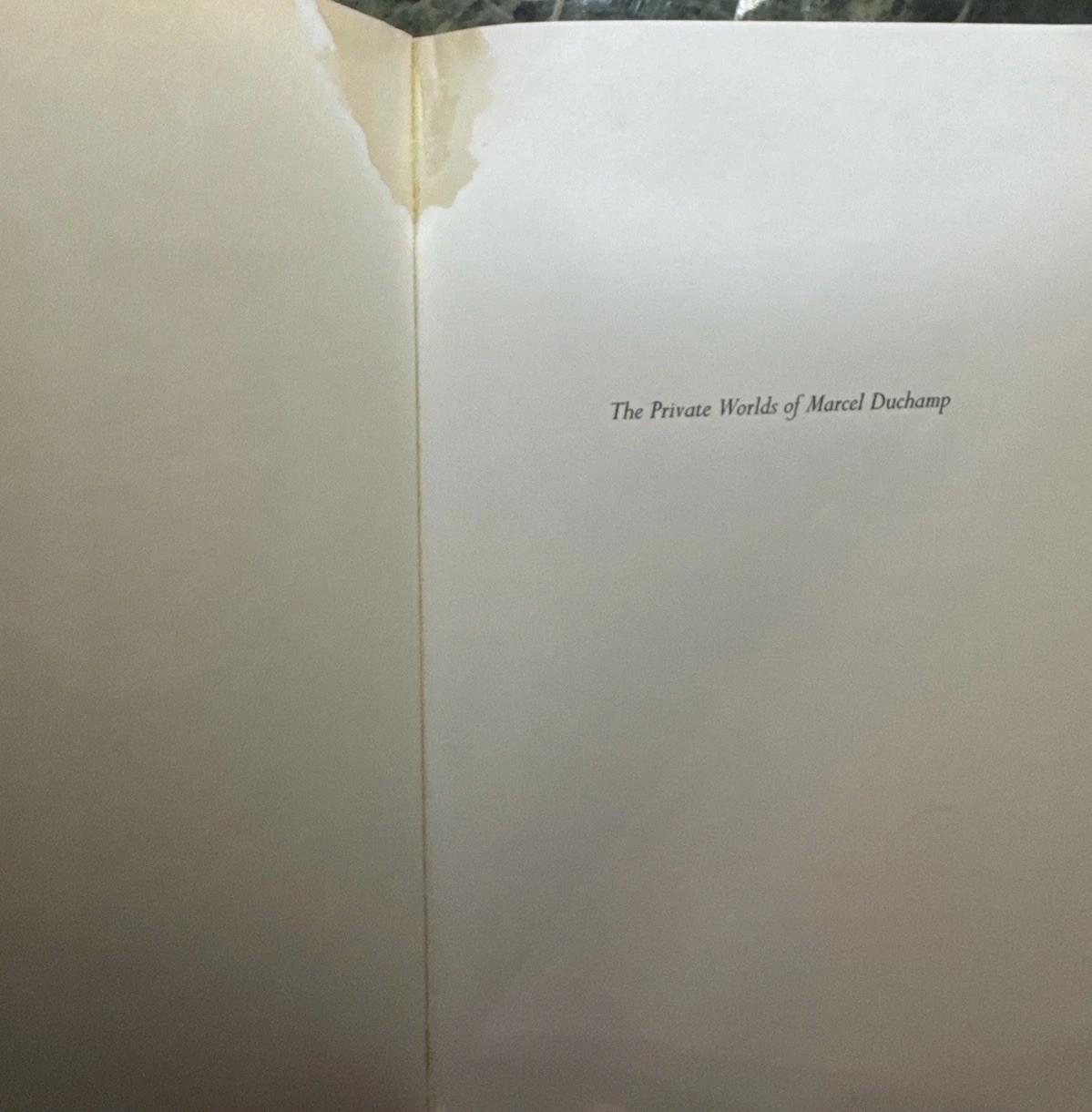 Private Worlds of Marcel Duchamp : Desire, Liberation, and… by Jerrold Seigel