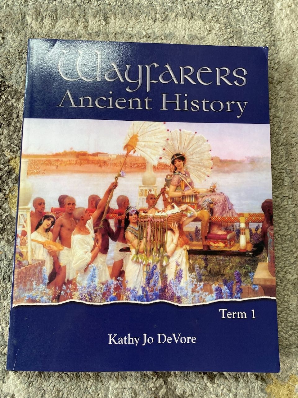 Wayfarers: Ancient History Term 1 in very good condition