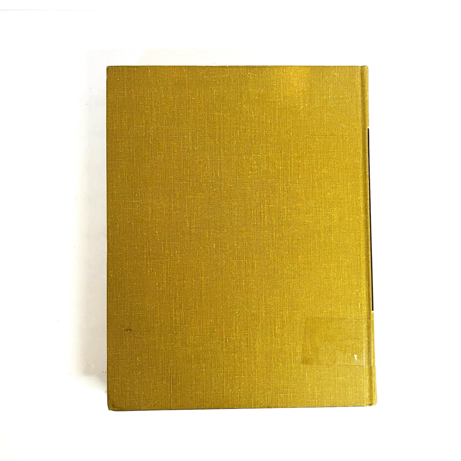 Vintage Reanimation of The Paralyzed Face Book Hardcover Leonard R. Rubin 1977