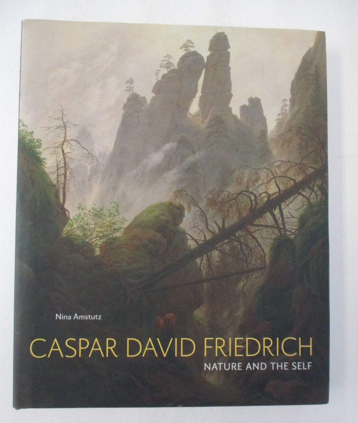 Caspar David Friedrich: Nature and the Self, Nina Amstutz, 1st in DJ