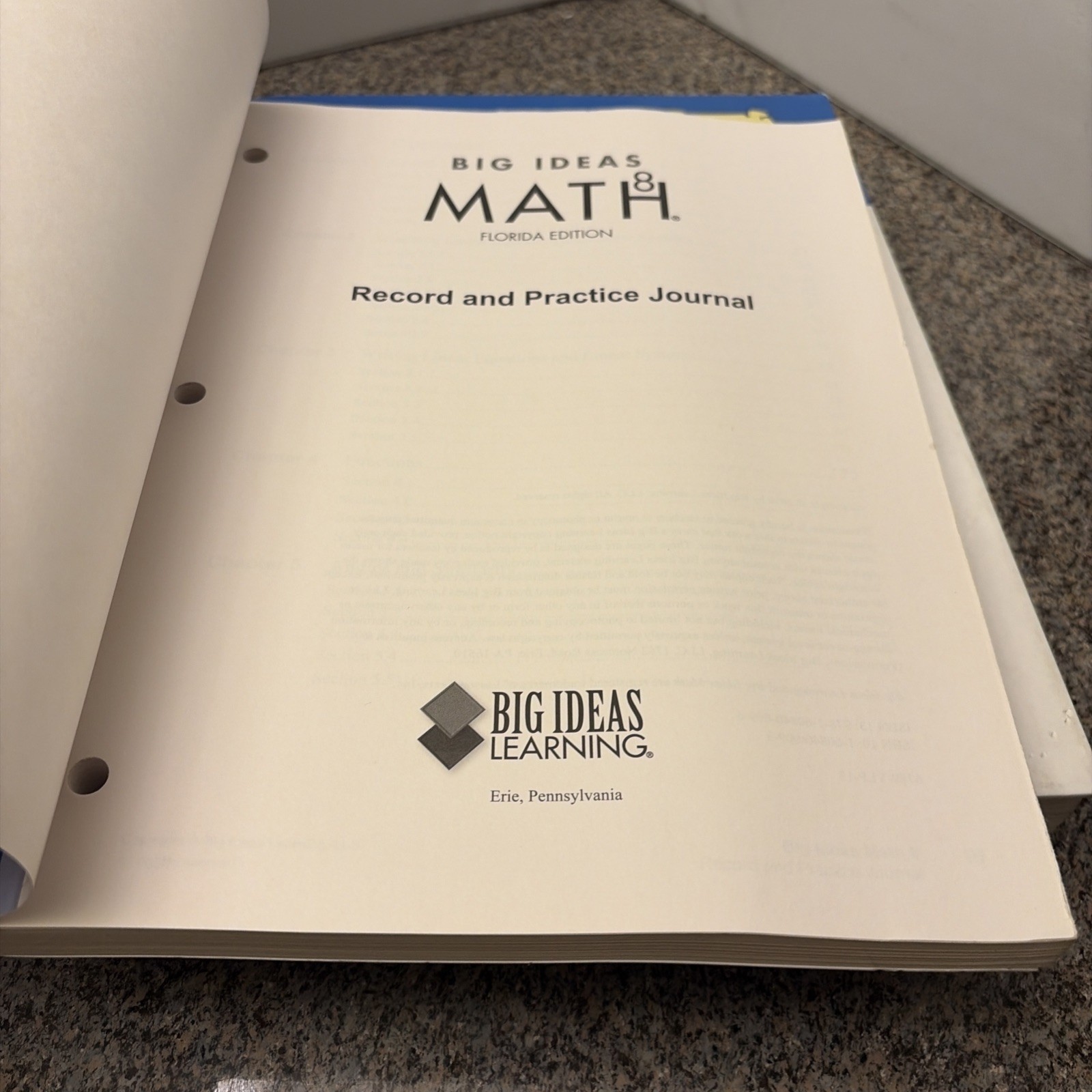Big Ideas Math 8, Florida Teaching Ed., Practice Journal, & 2 CD-ROMs, by Larson
