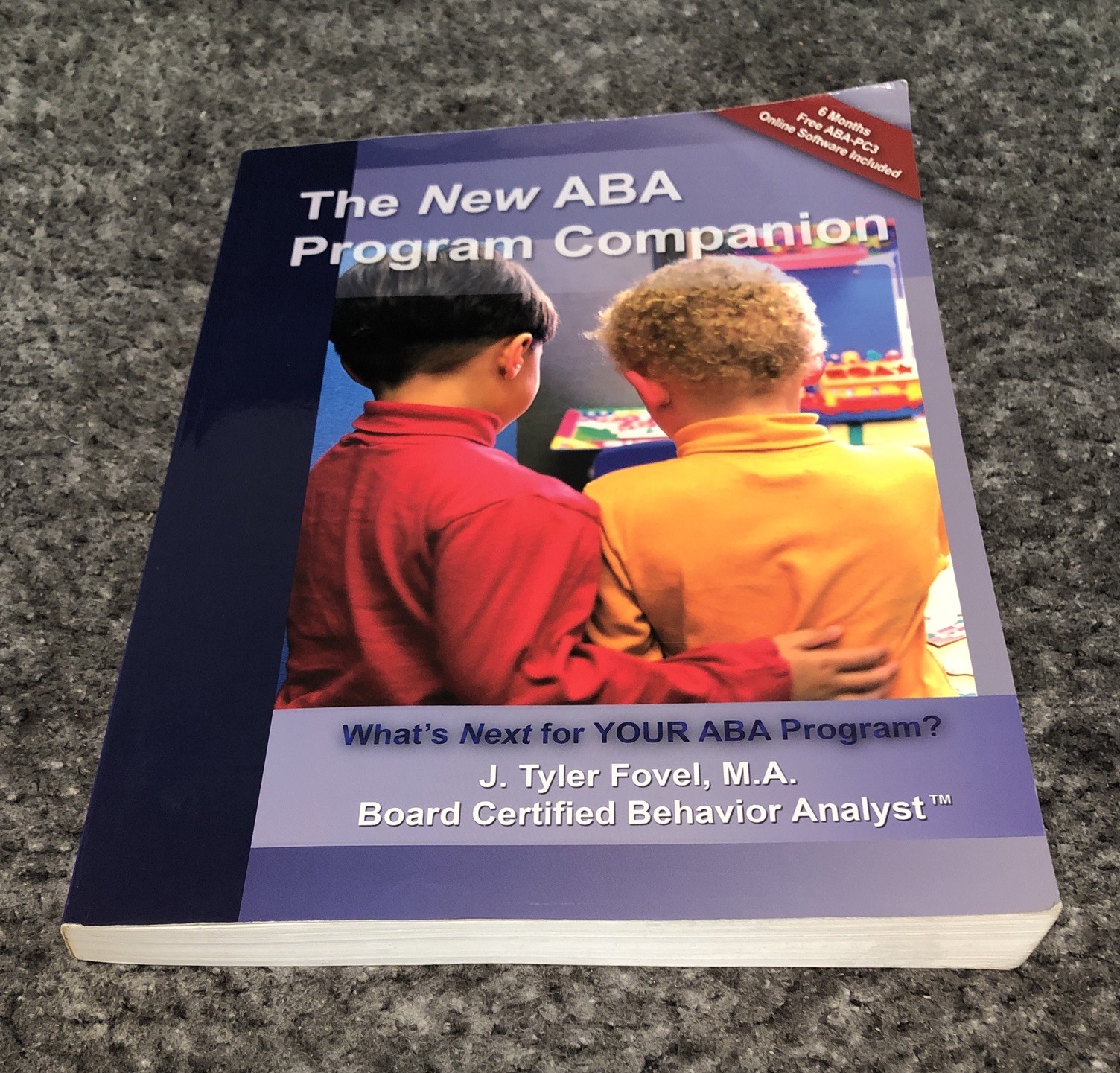 The New ABA Program Companion