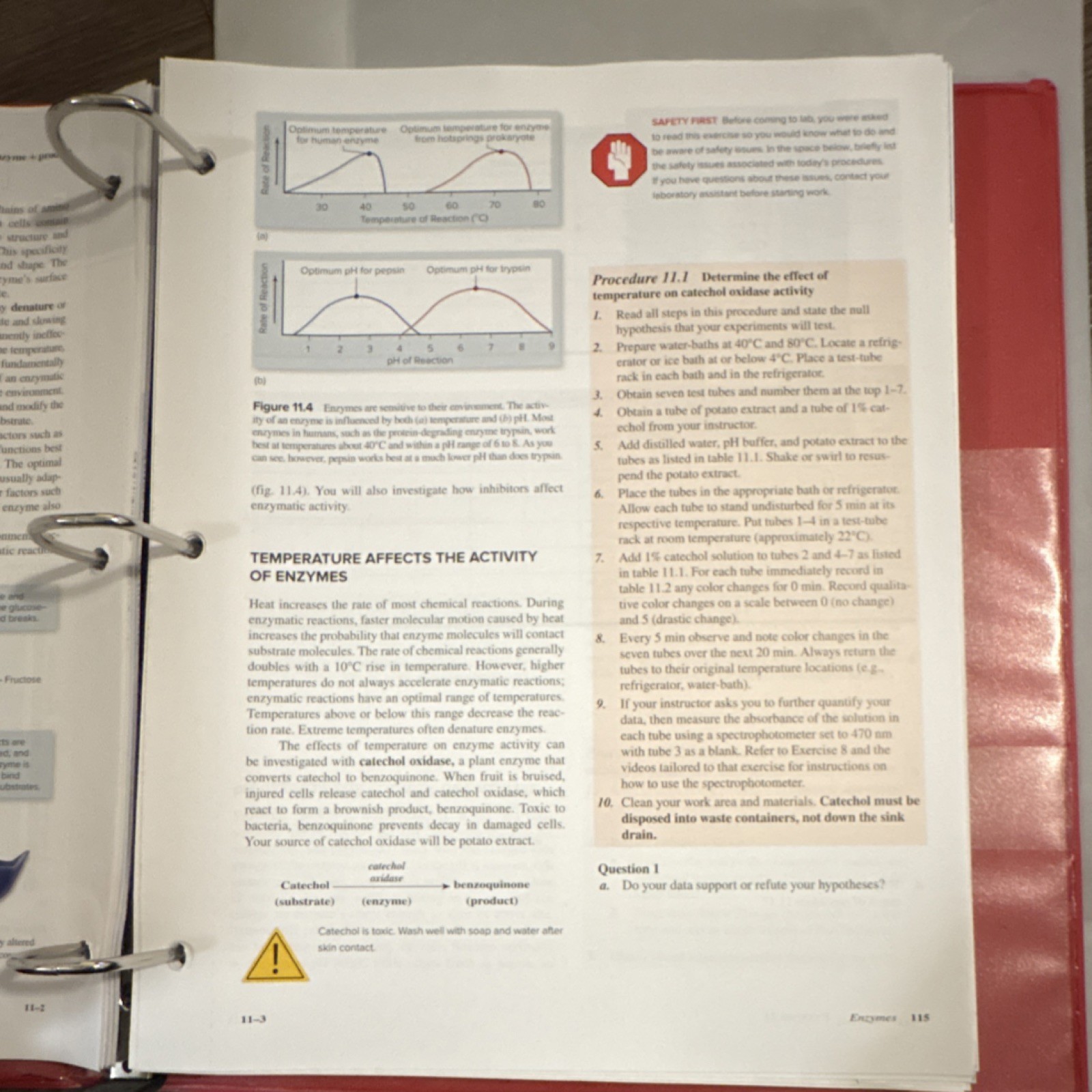 McGraw-Hill Biology Laboratory Manual 12th Ed Ringbound Vodopich, Moore