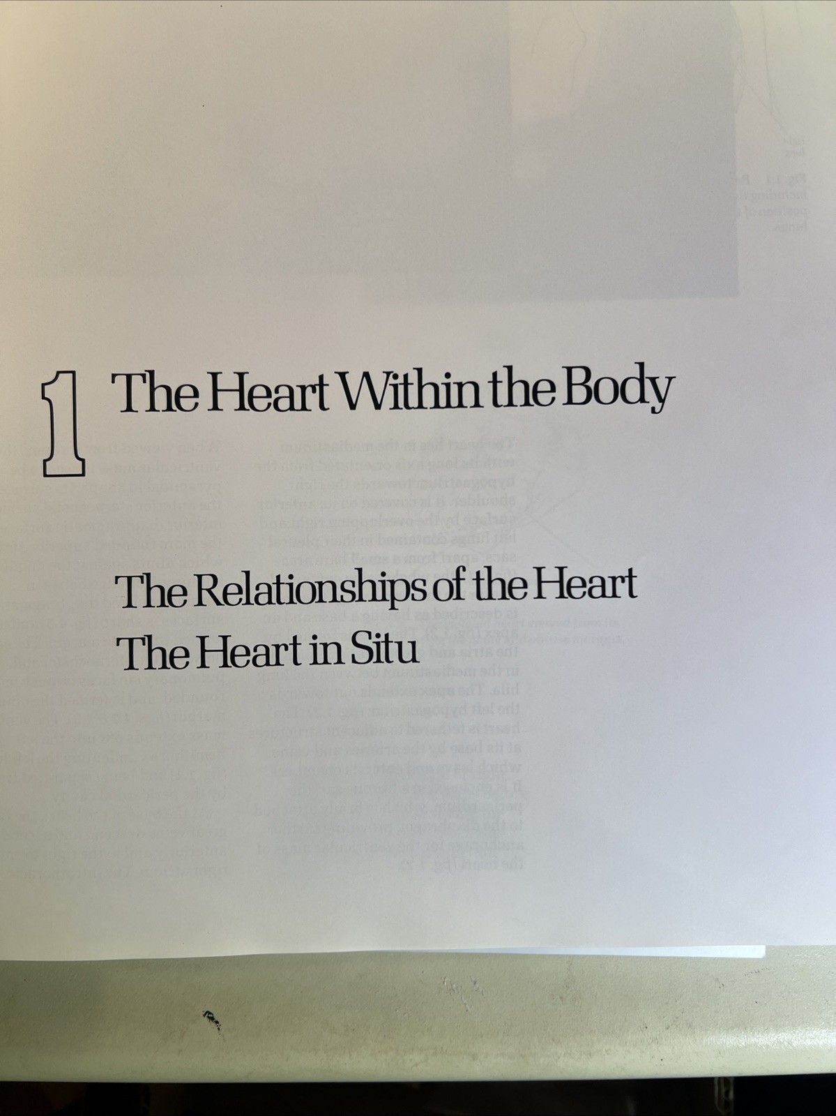 Cardiac Anatomy: An Integrated Text and Color Atlas by Robert Anderson- 1980 -B2