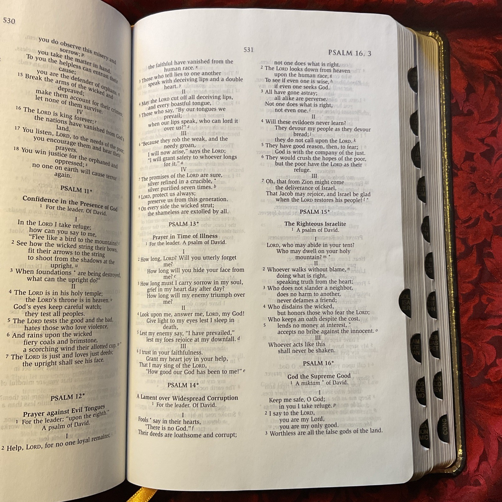 Holy Bible NAB New American Bible Thumb Index Genuine Leather