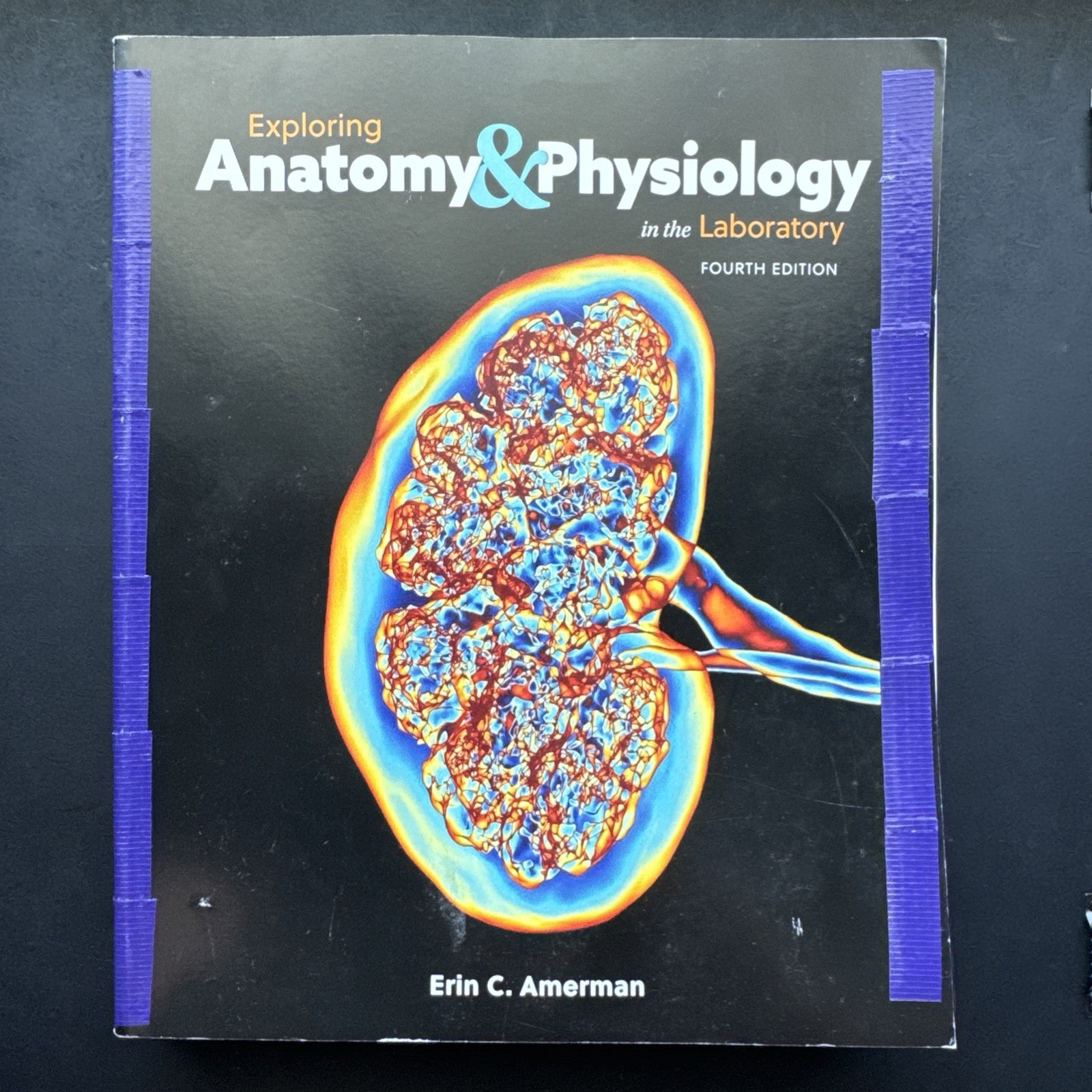 Exploring Anatomy & Physiology in the lab 4th Ed 9781640433984