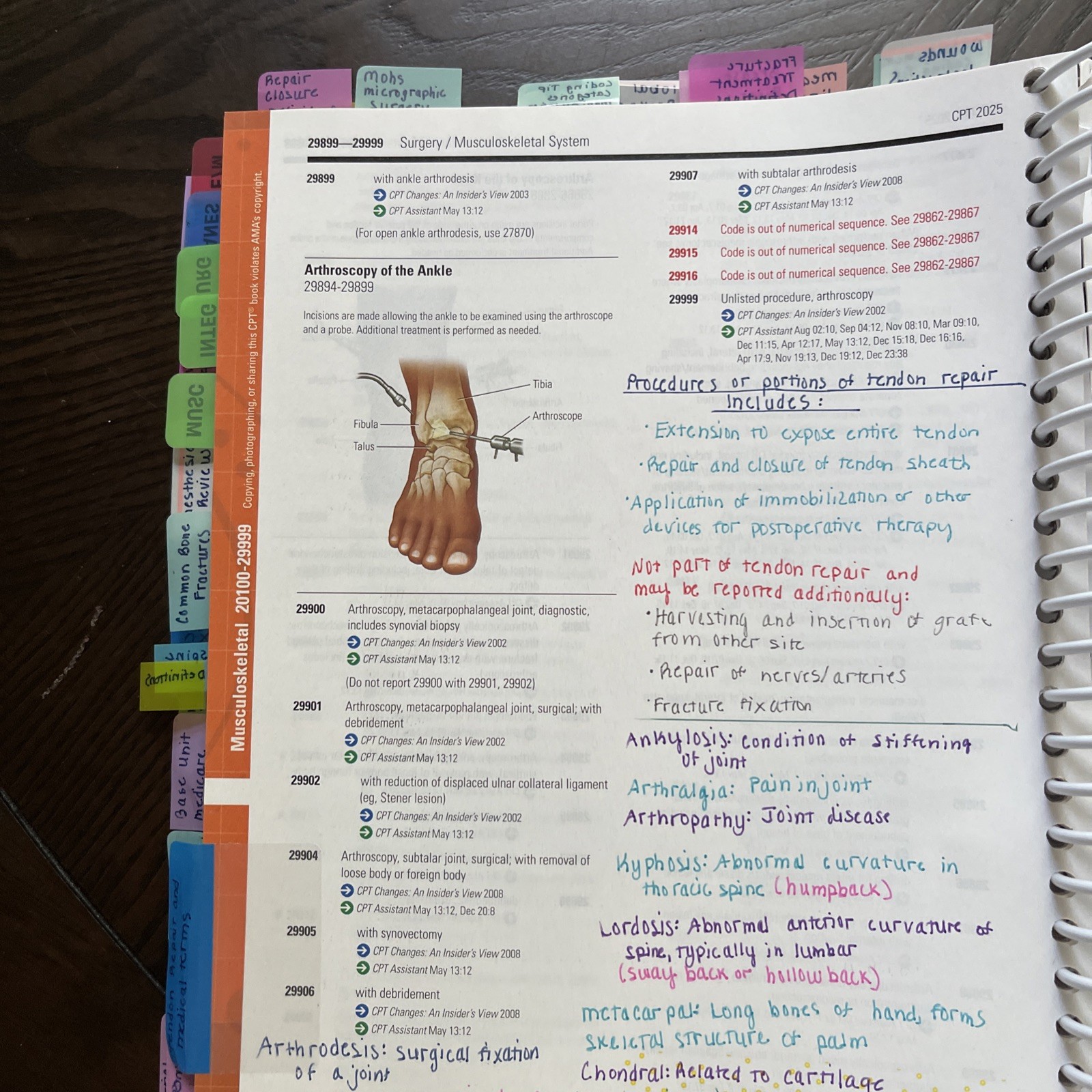 Tabbed CPT Professional 2025 by American Medical Association -Spiral