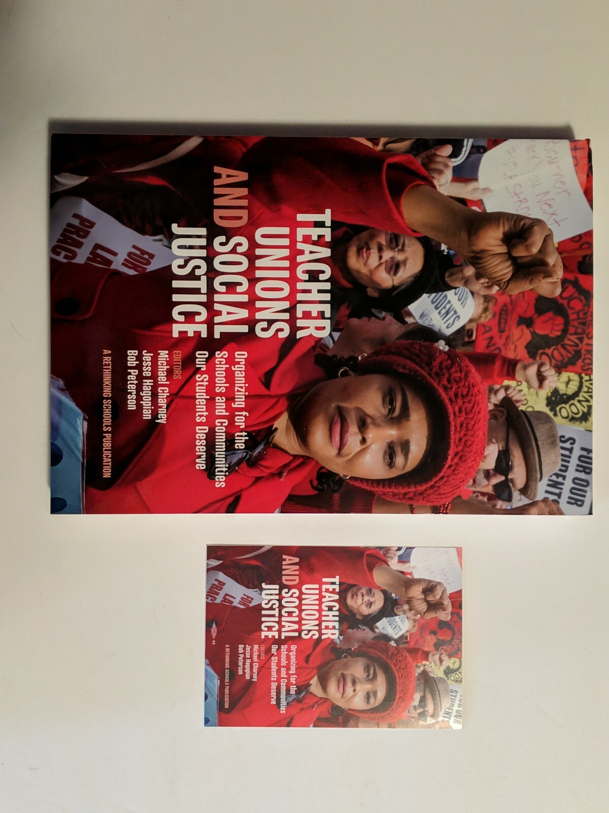 Teacher Unions and Social Justice Book & Sticker Organizing Schools Communities