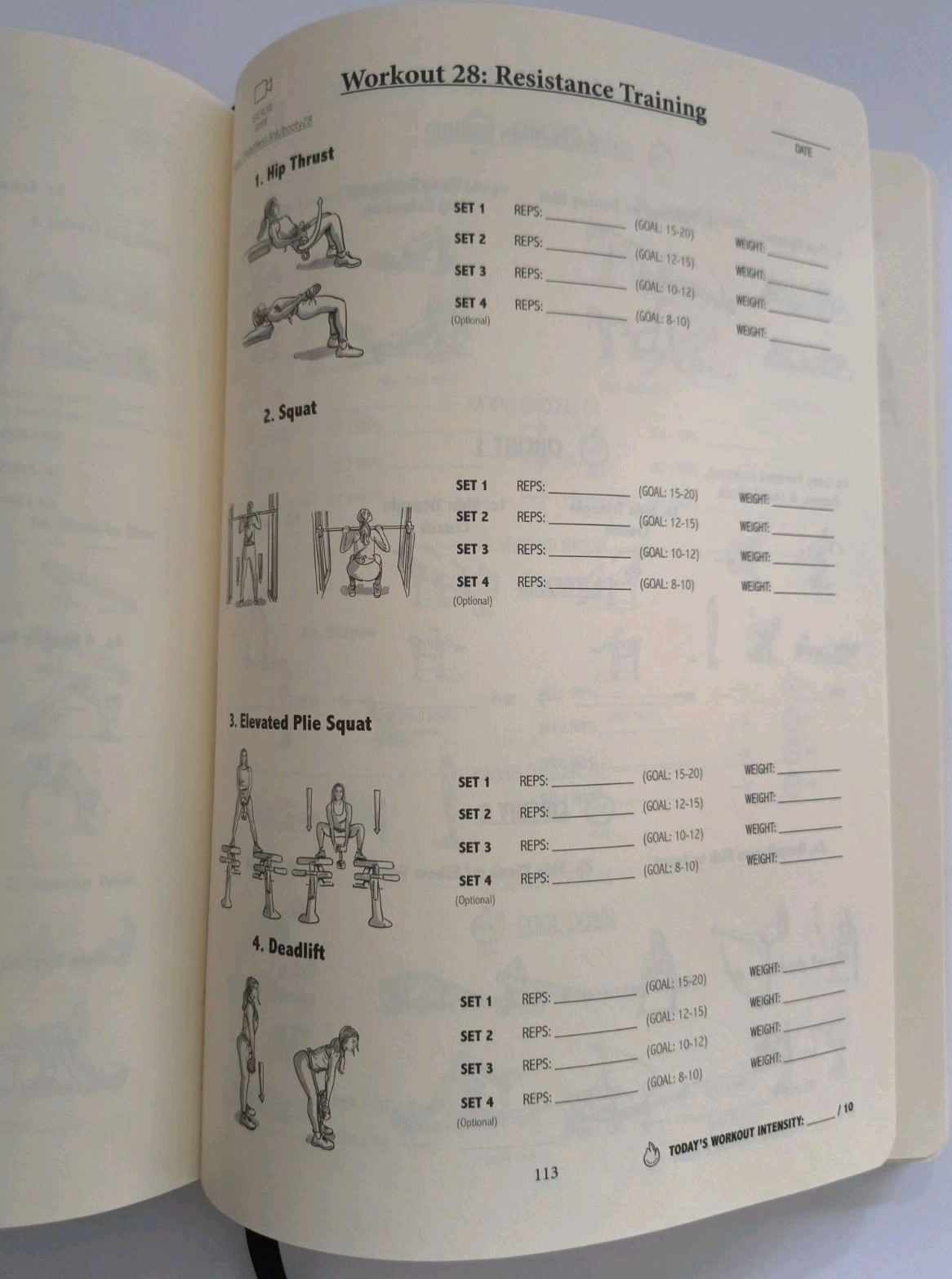 Pink Badass Body Goals Journal : The Booty Shaping & Resistance Training Journal