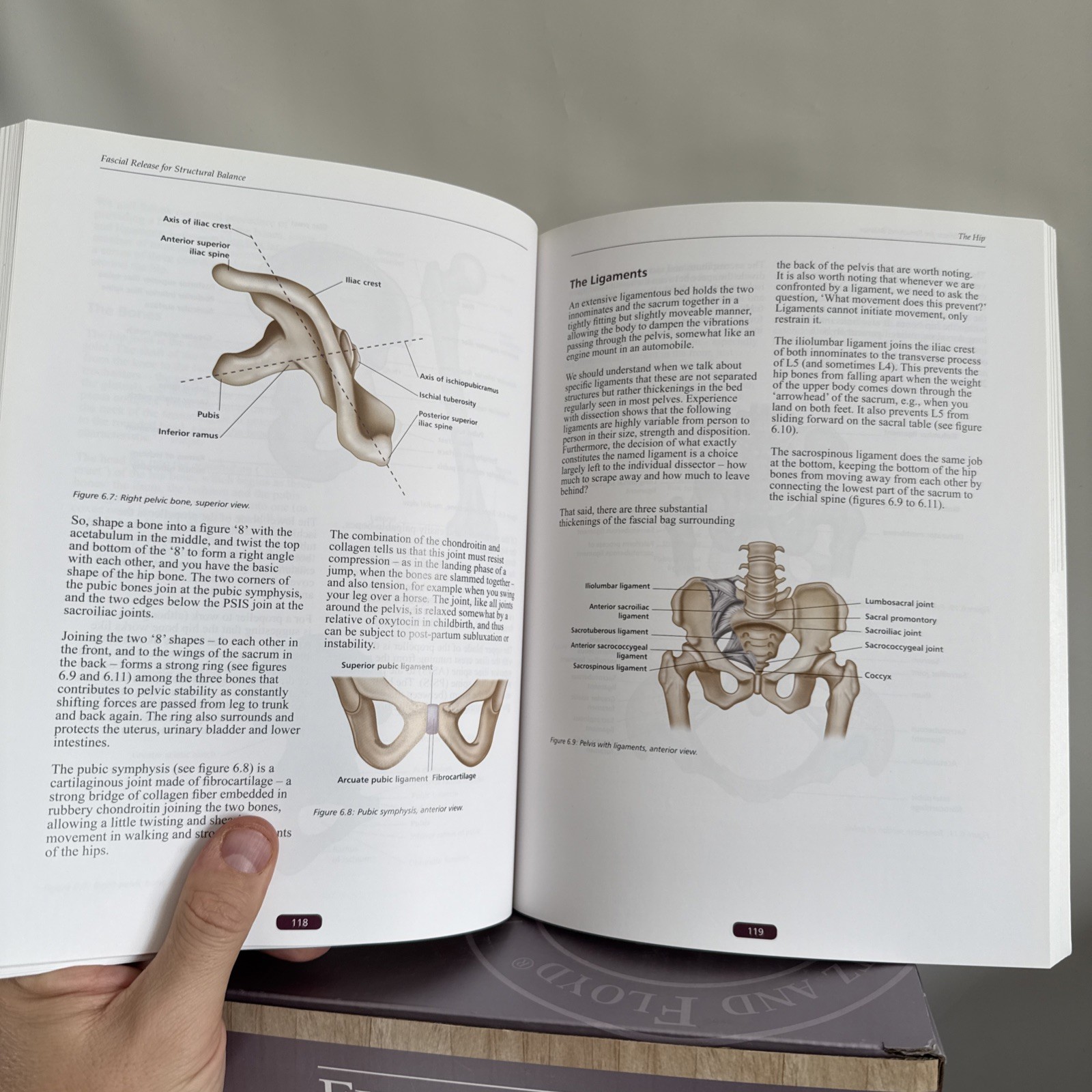 Softcover color book «Fascial Release for Structural Balance» T. Myers J. Earls
