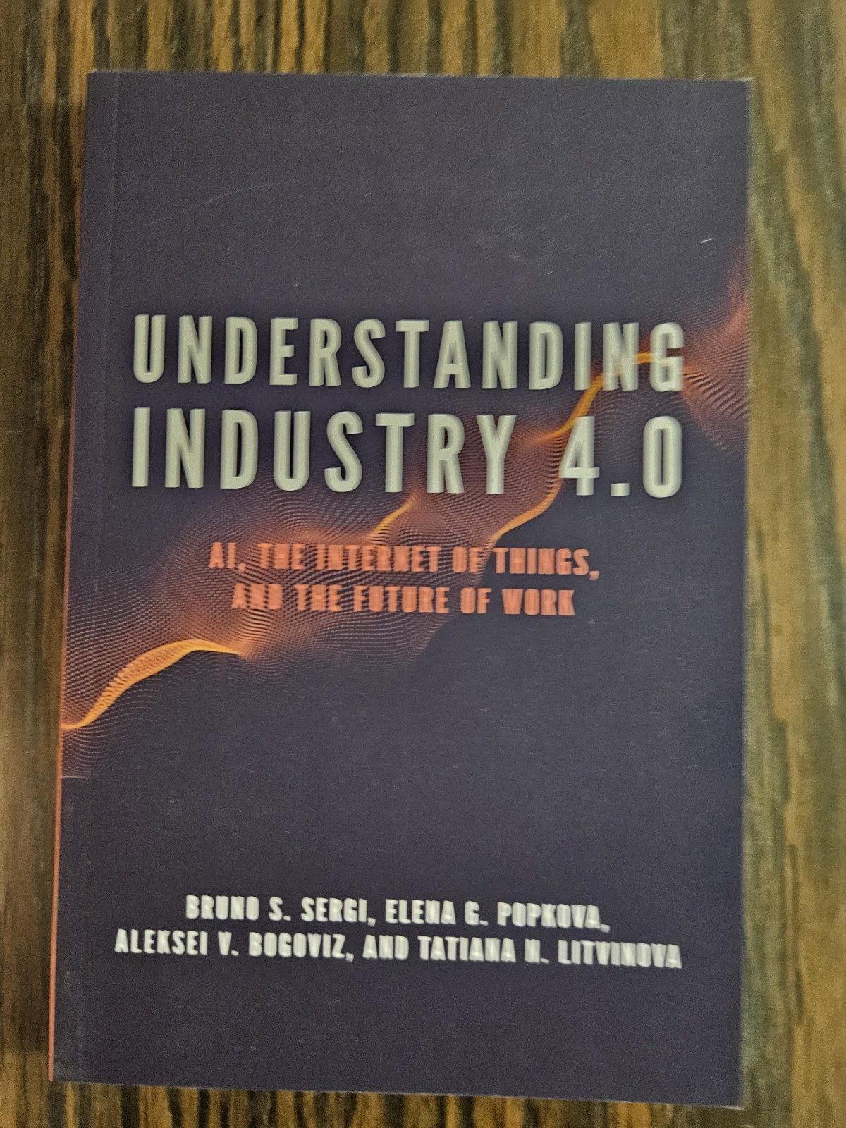 Understanding Industry 4. 0 : by Elena G. Popkova