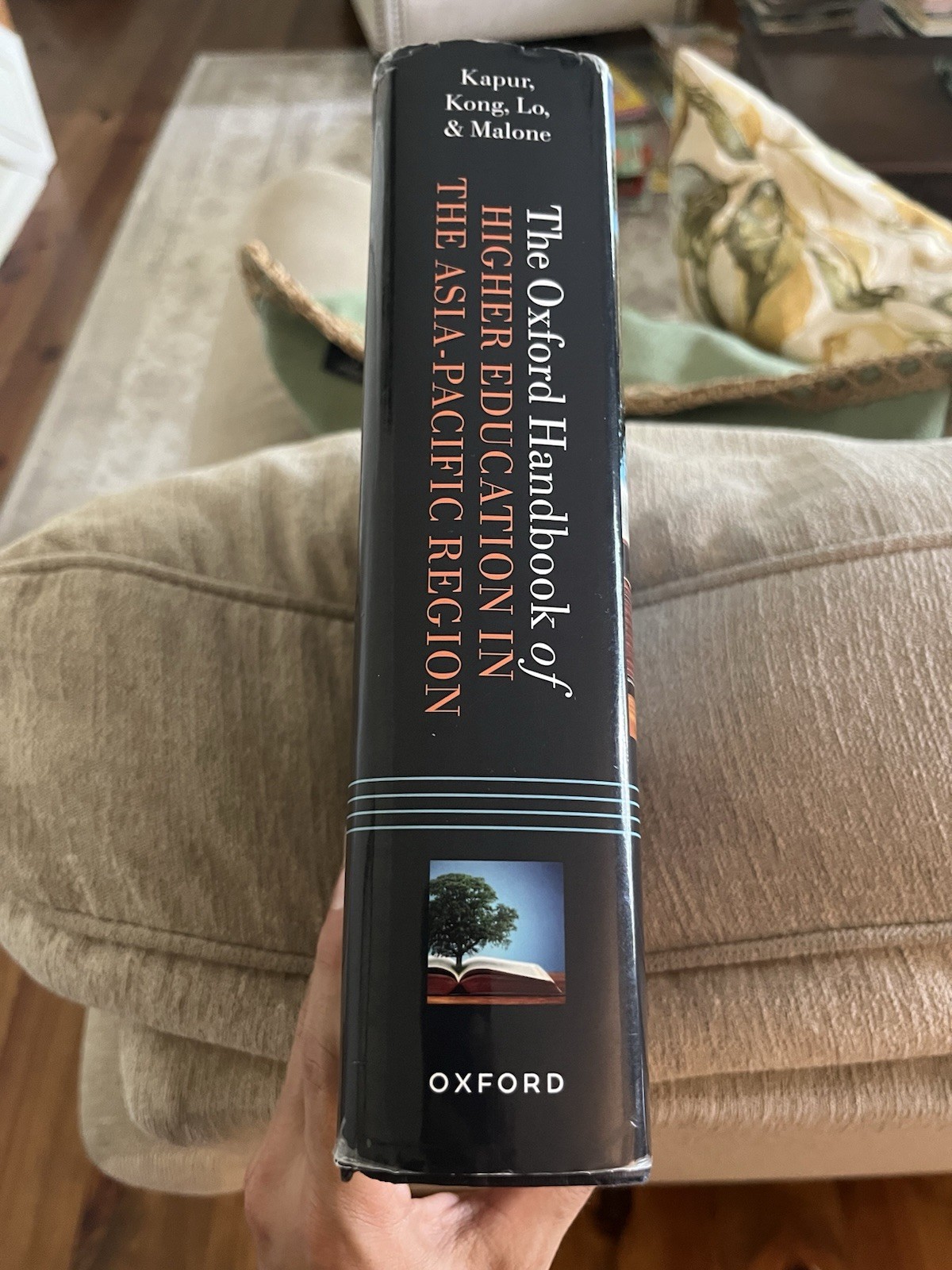 The Oxford Handbook of Higher Education in the Asia-Pacific Region (Oxford Handb