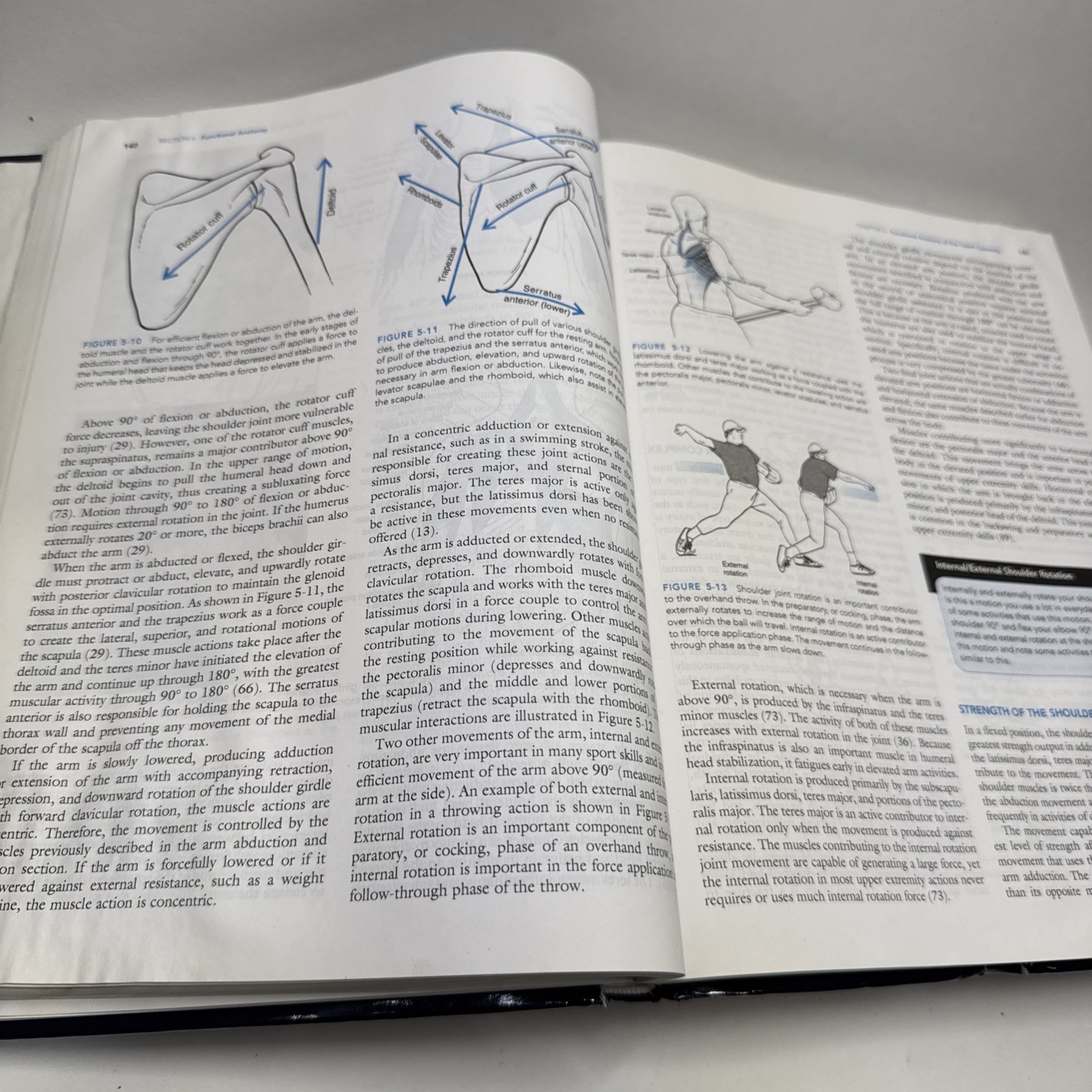 BIOMECHANICAL BASIS OF HUMAN MOVEMENT By Hamill Joseph Phd & Knutzen Kathleen