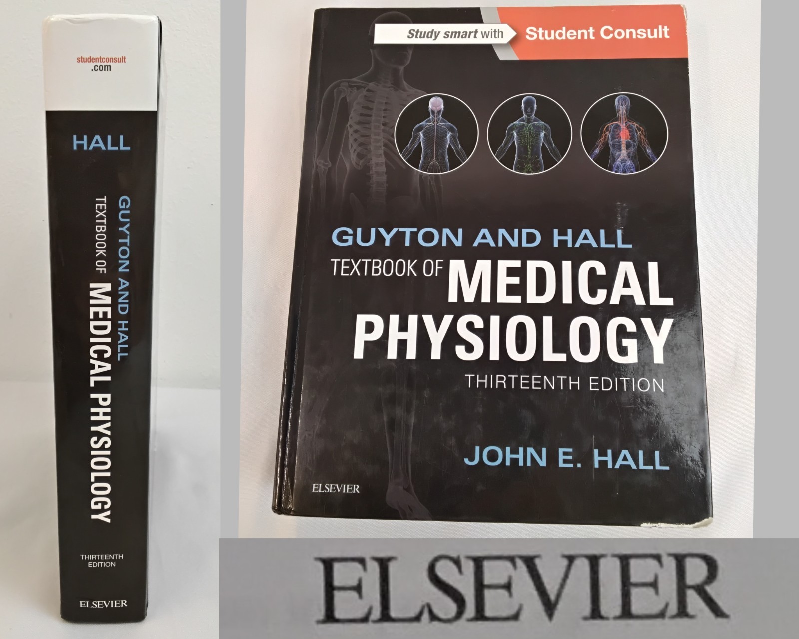 Guyton and Hall Textbook of Medical Physiology 13th Edition John E. Hall #B1163