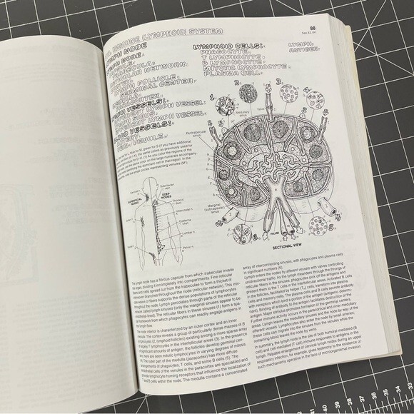 Vintage 1993 Anatomy Coloring Book Wynn Kapit/Lawrence M. Elson 2nd Edition