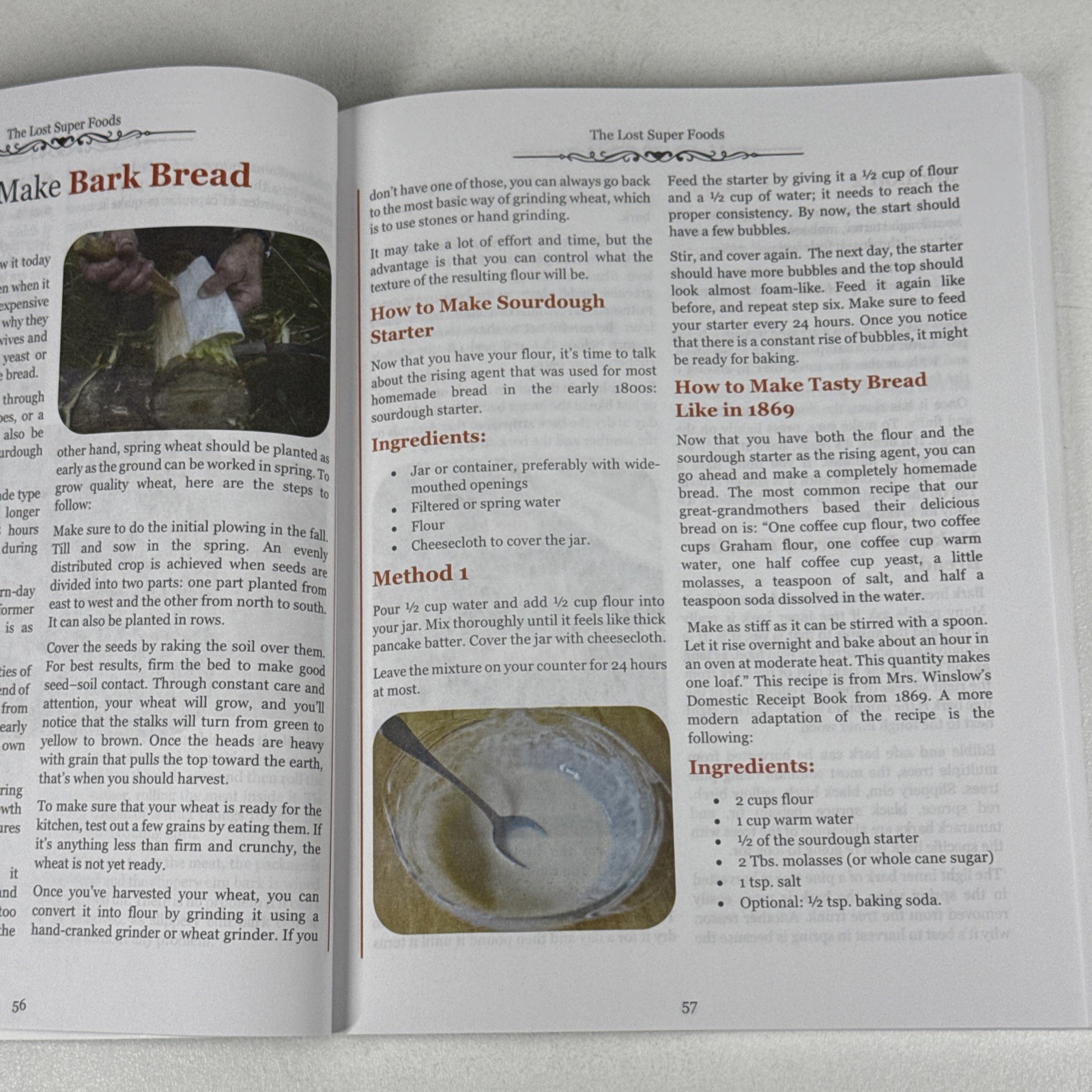 The Lost Super Foods 126 Survival Foods and Tips for Your Stockpile PB 2020