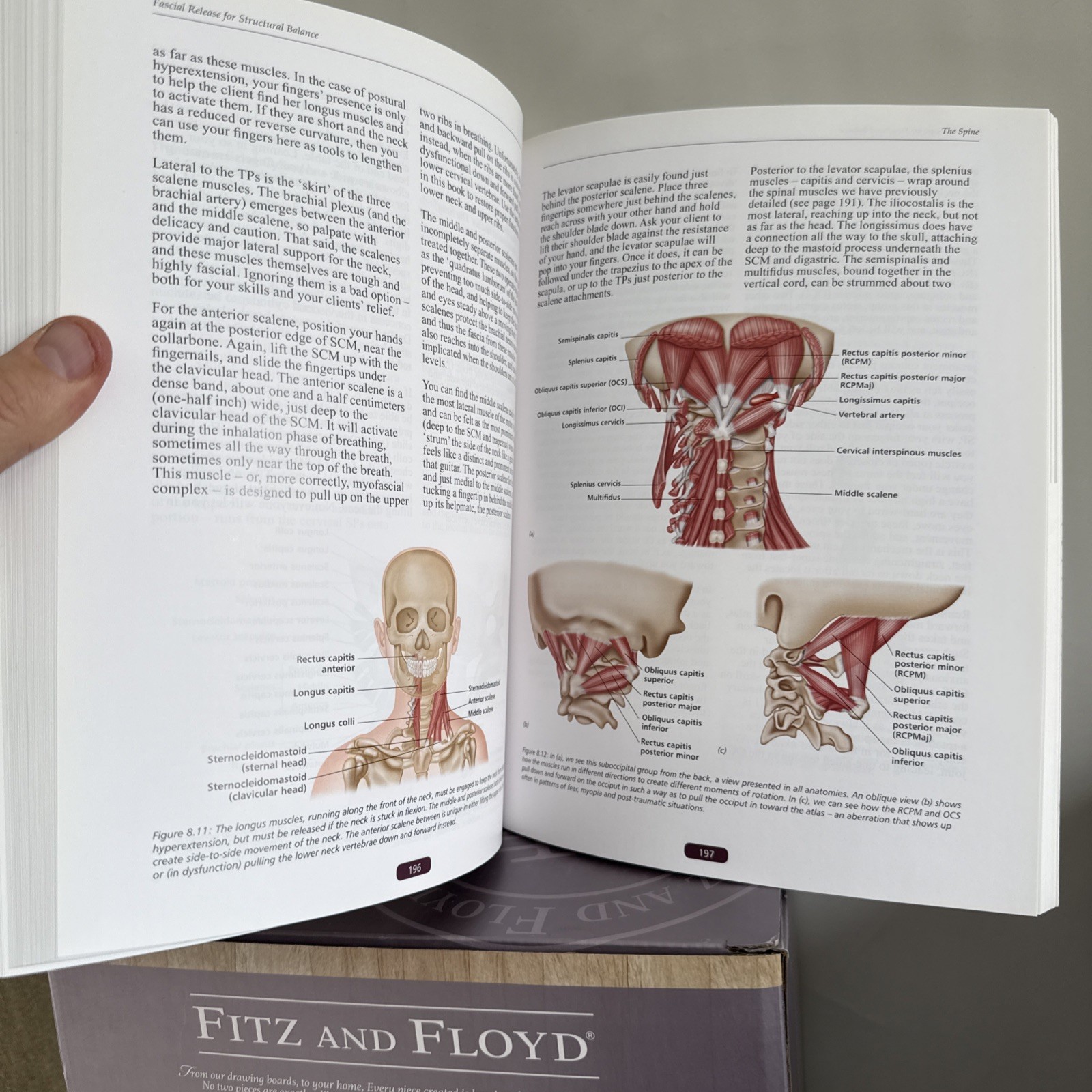 Softcover color book «Fascial Release for Structural Balance» T. Myers J. Earls