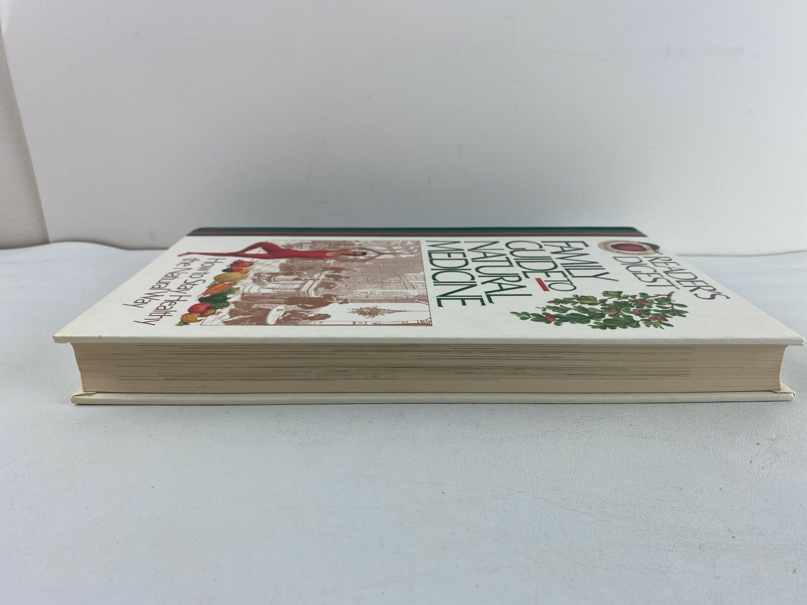 Reader’s Digest Family Guide to Natural Medicine, 1993 Hardcover, 416 Pages