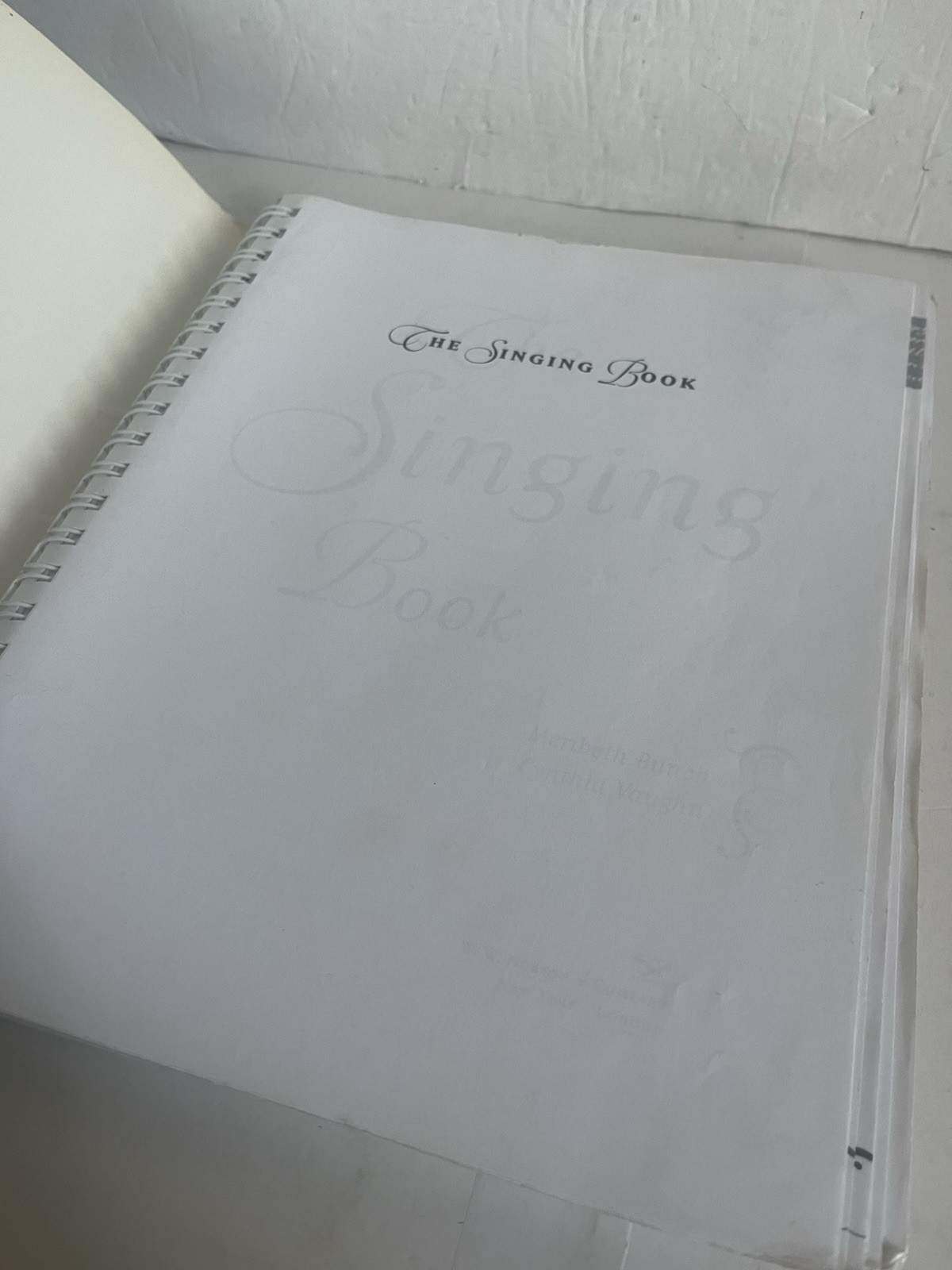Singing Book by Cynthia Vaughn and Meribeth Bunch (2004, Trade Paperback Spiral)