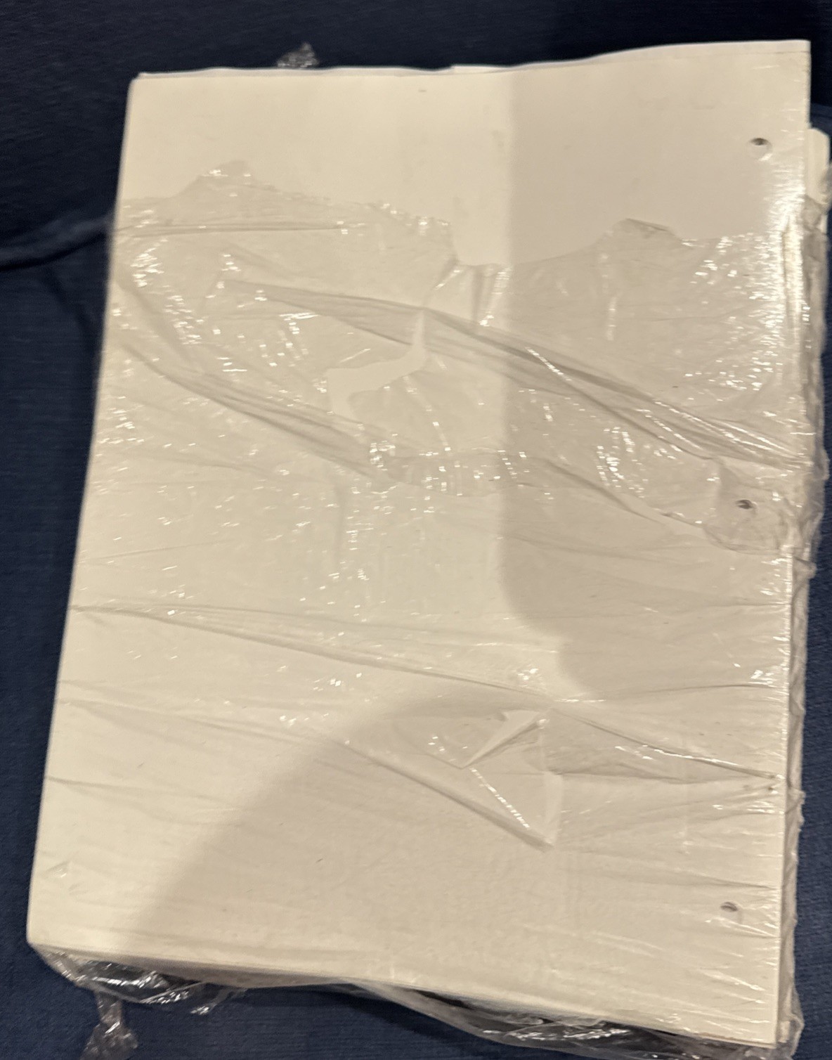 Student Solutions Manual for – Loose Leaf, by Wade Leroy; Simek