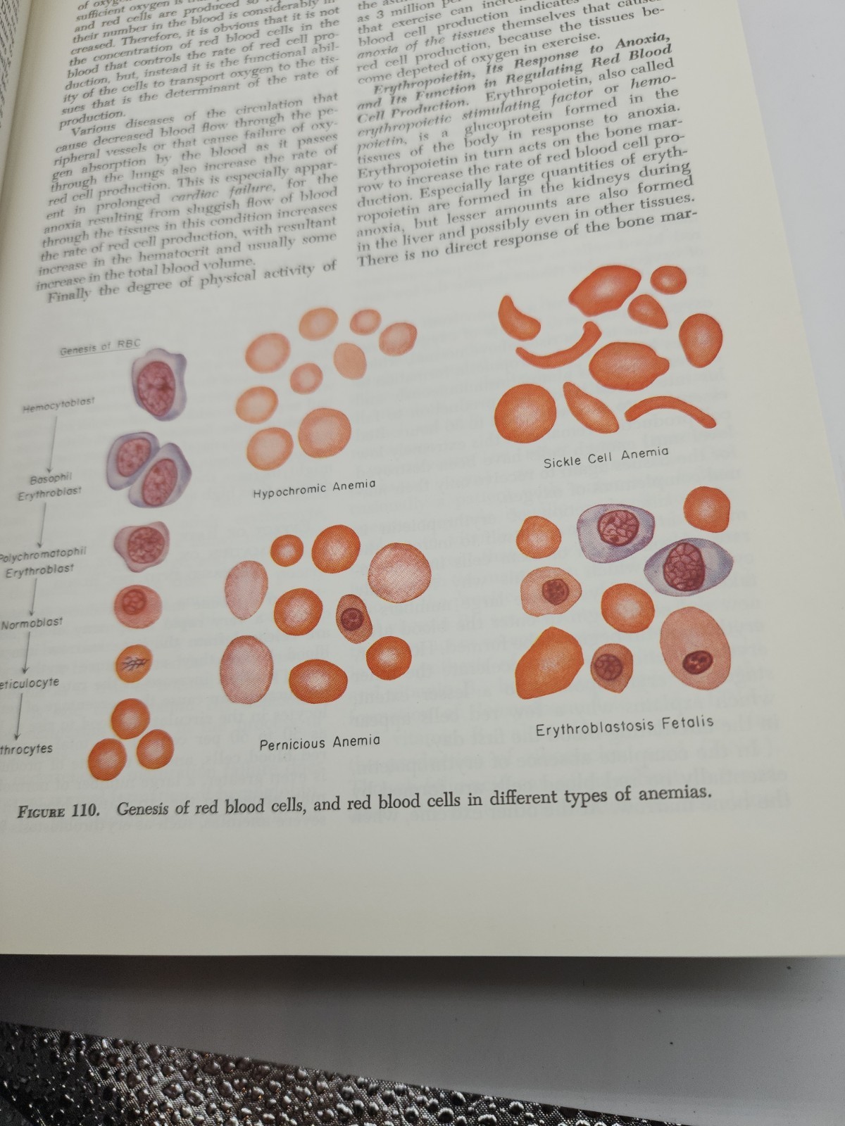Textbook Of Medical Physiology Guyton 3rd Ed 1968 HC Illustrated with Dust Cover