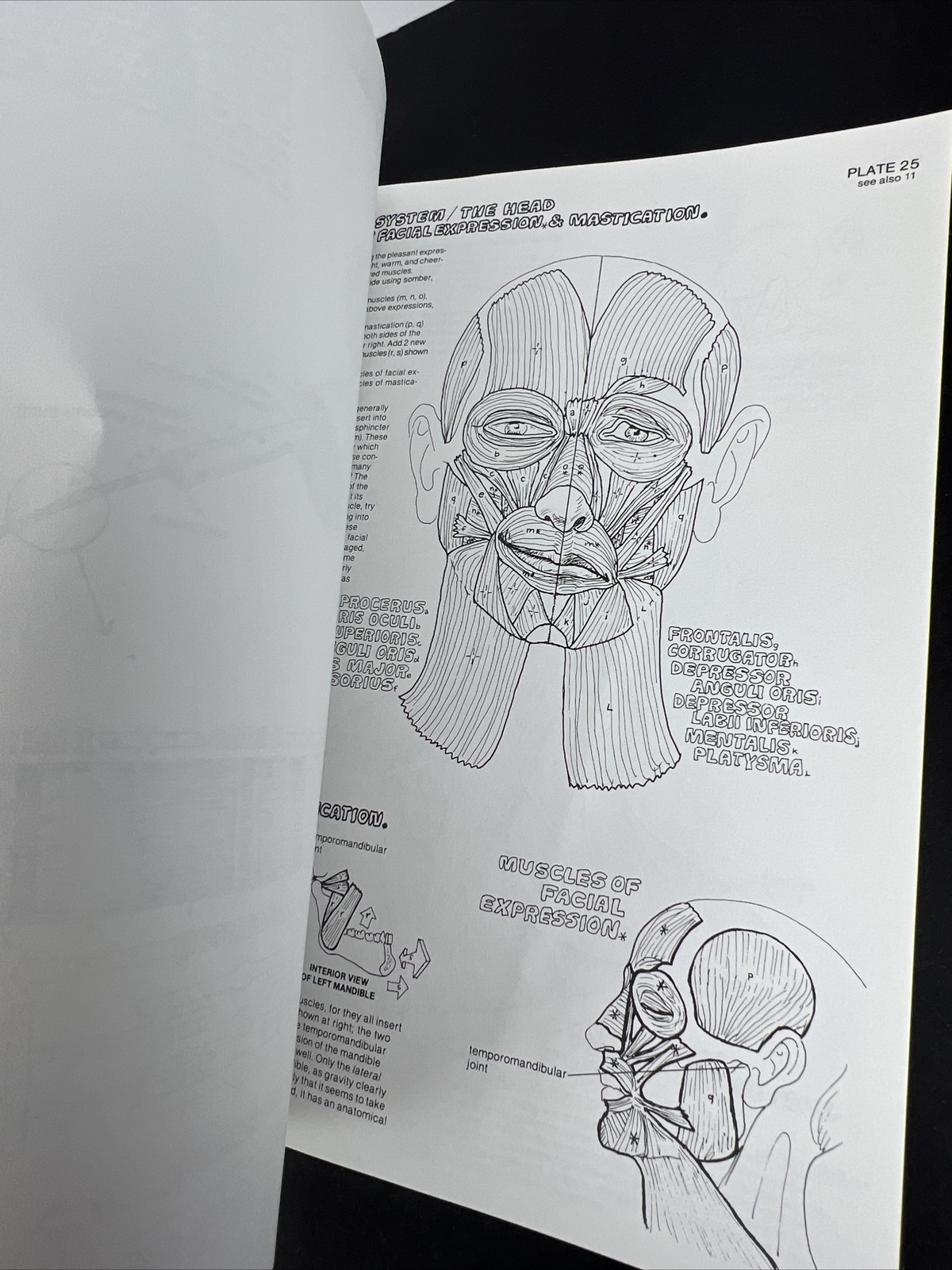 The Anatomy Coloring Book – Paperback By Kapit, Wynn 1977 Unused
