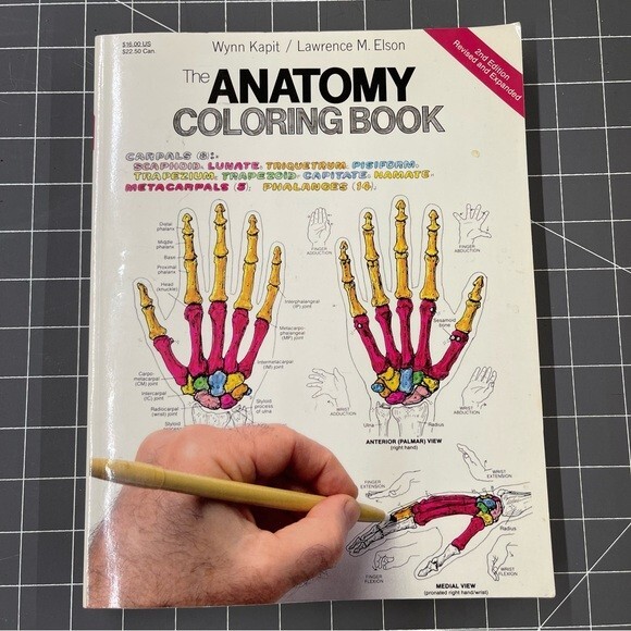 Vintage 1993 Anatomy Coloring Book Wynn Kapit/Lawrence M. Elson 2nd Edition