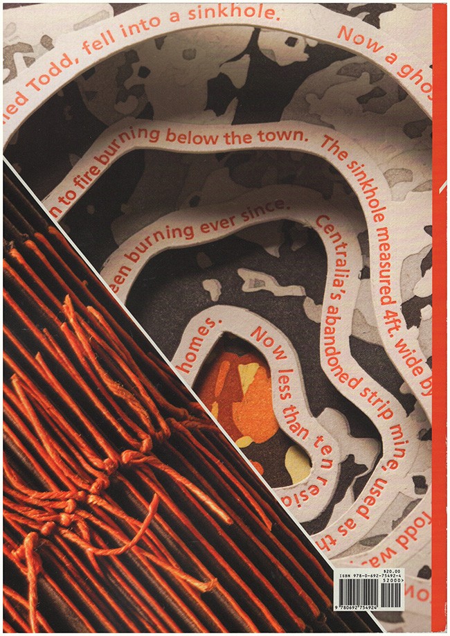 20/20 Vision: Celebrating the Next Generation of Book Artists