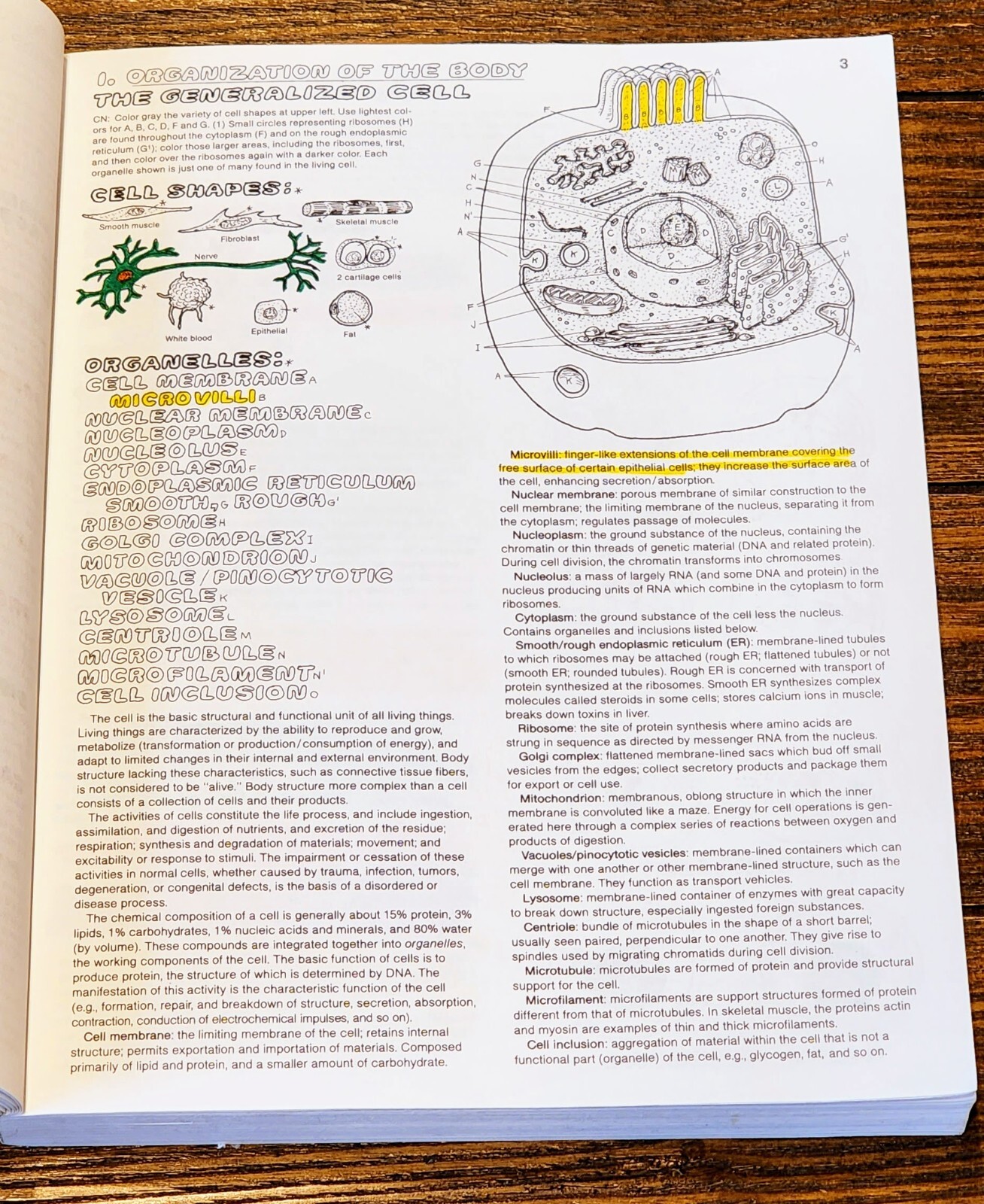 The Anatomy: Coloring Book by Lawrence M. Elson and Wynn Kapit, Second Edition