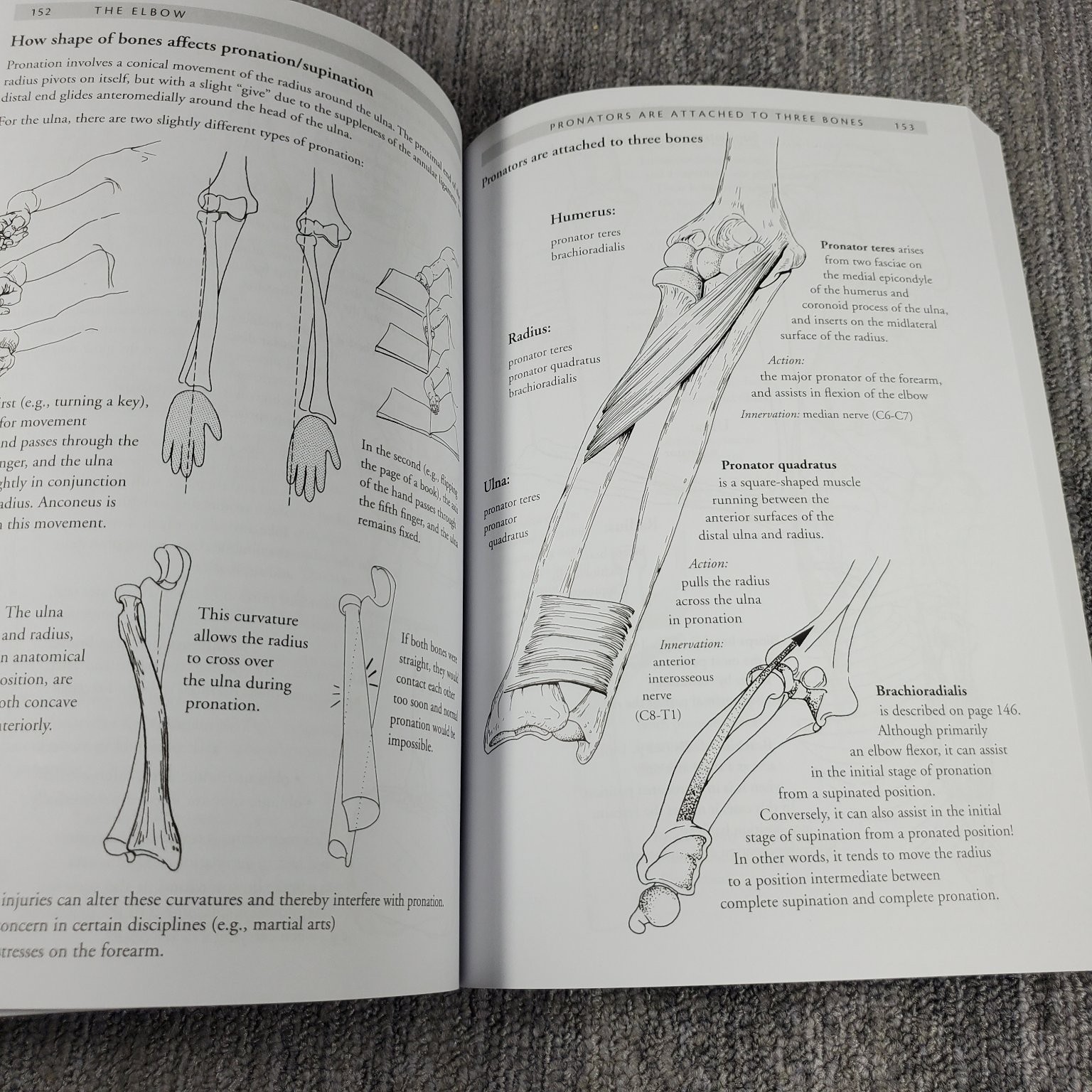 Anatomy of Movement Blandine Calais-Germain 2014 Illustrated Trade Paperback