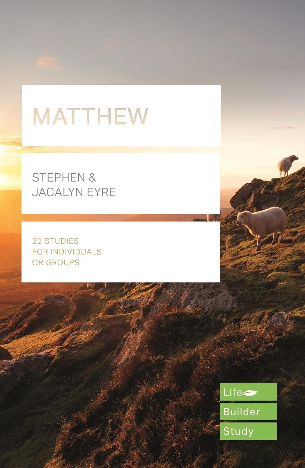 Matthew (Lifebuilder Study Guides): Being Discipled by Jesus by Stephen Eyre Pap