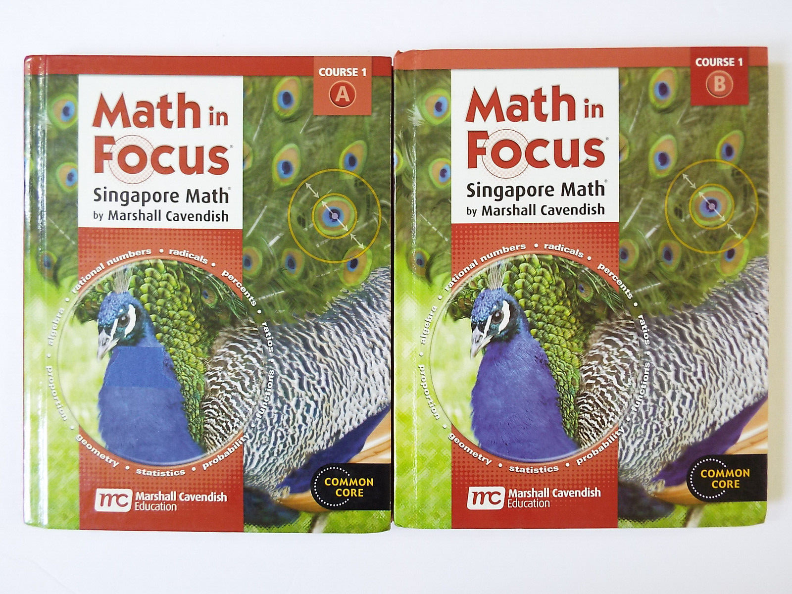 Lot 2 Math in Focus The Singapore Approach Grade 2 2A & 2B Student Textbooks