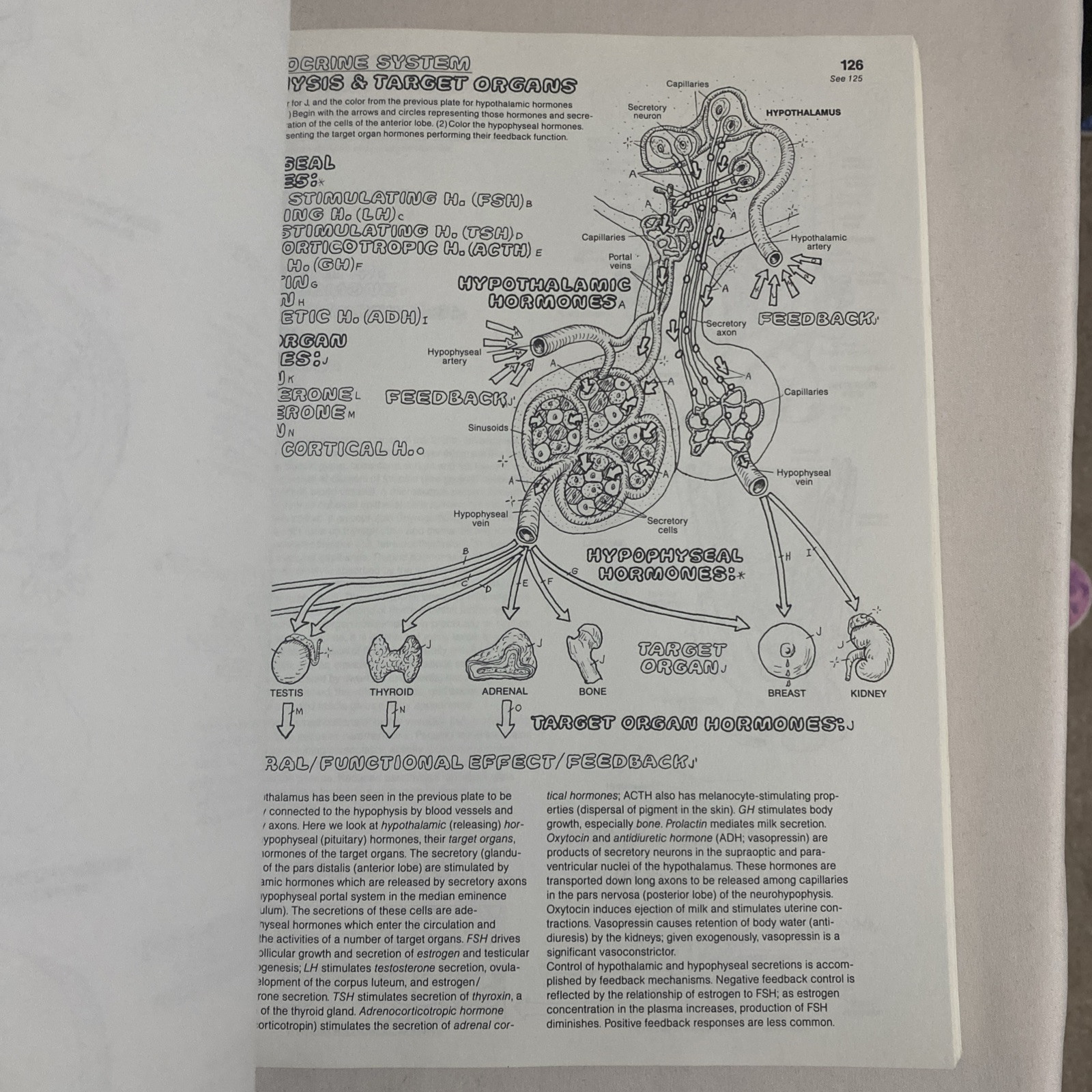 The Anatomy Coloring Book By Wynn Kapit & Lawrence M. Elson 2nd Edition