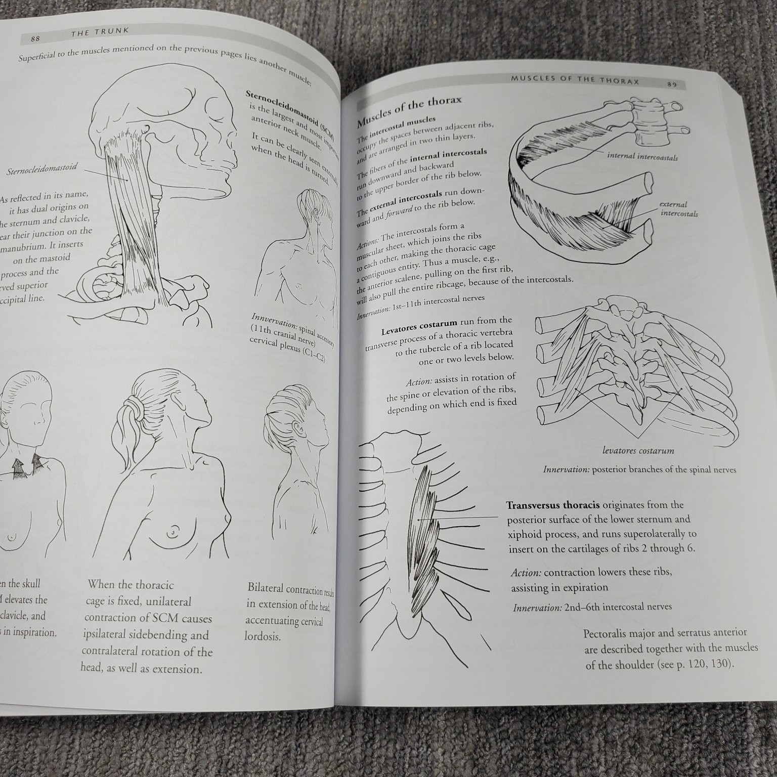 Anatomy of Movement Blandine Calais-Germain 2014 Illustrated Trade Paperback