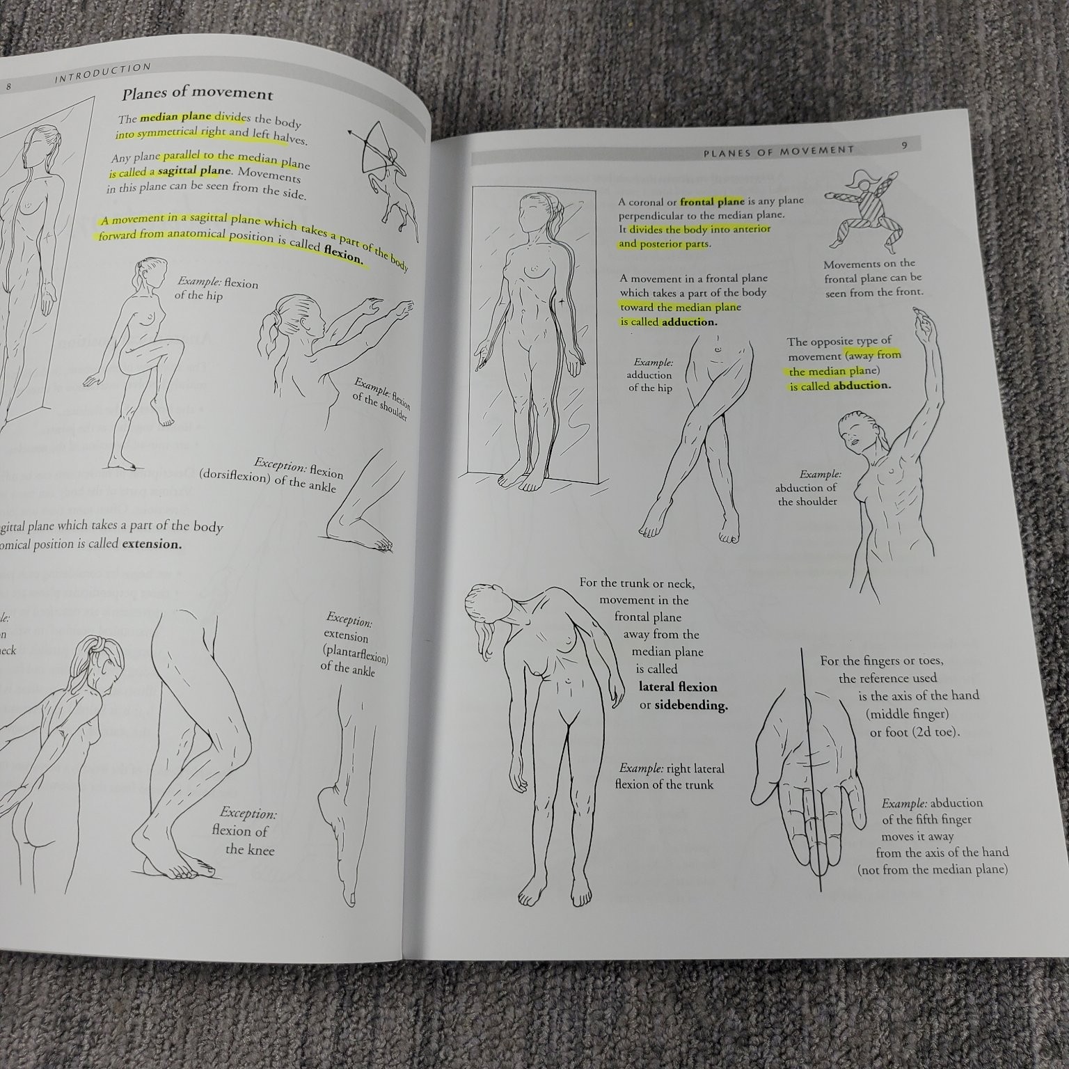 Anatomy of Movement Blandine Calais-Germain 2014 Illustrated Trade Paperback