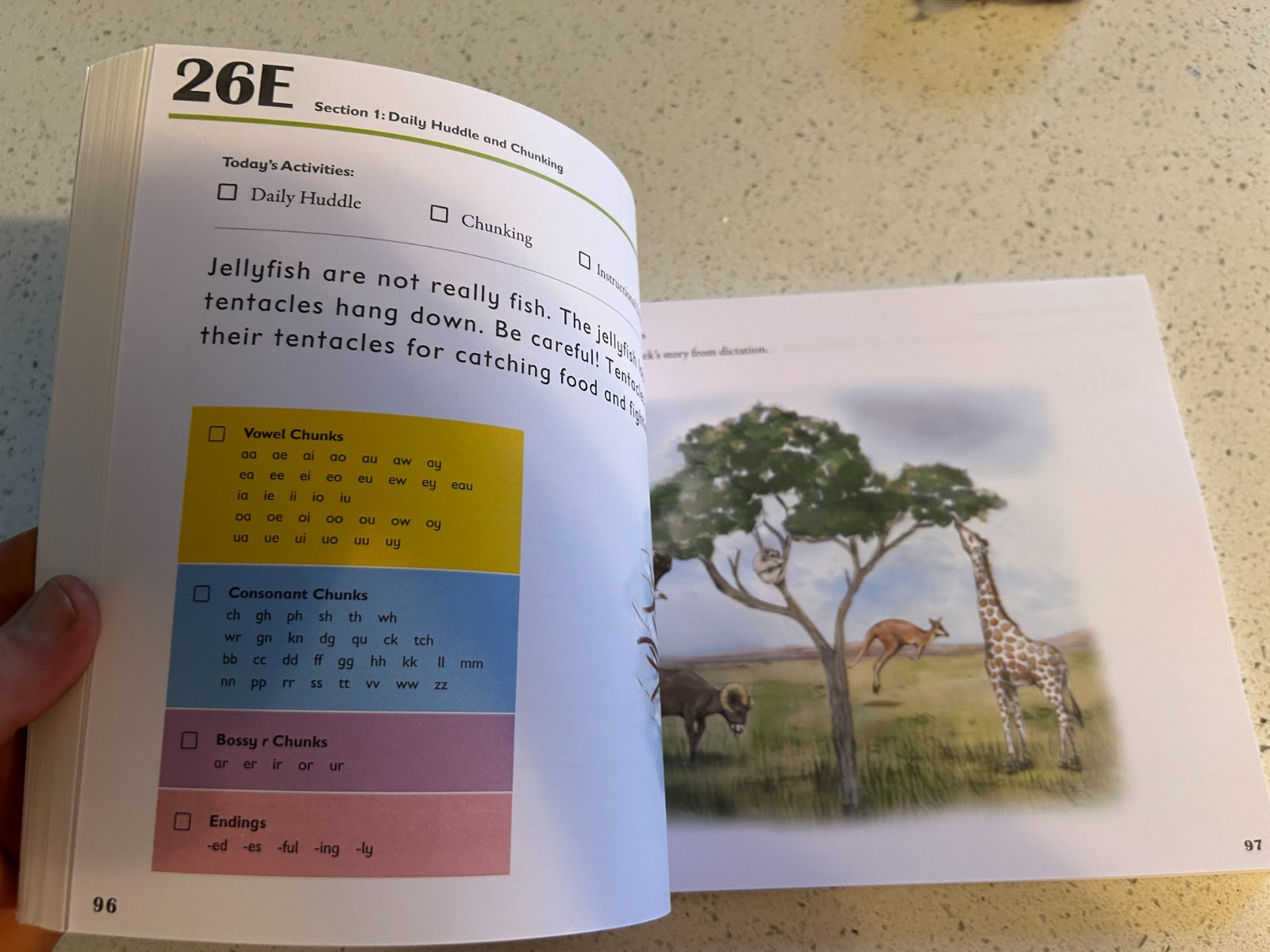 Spelling You See C: Wild Tales Student Workbook Part 2 2024 Version