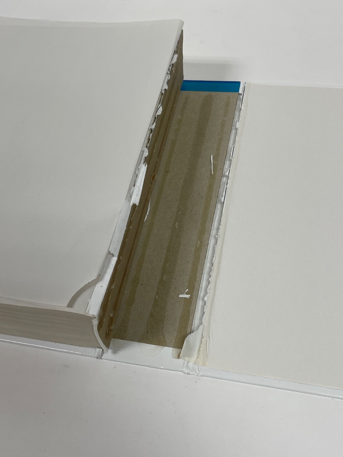 Brunner and Suddarth’s Textbook of Medical-Surgical Nursing Broken Spine See Pic
