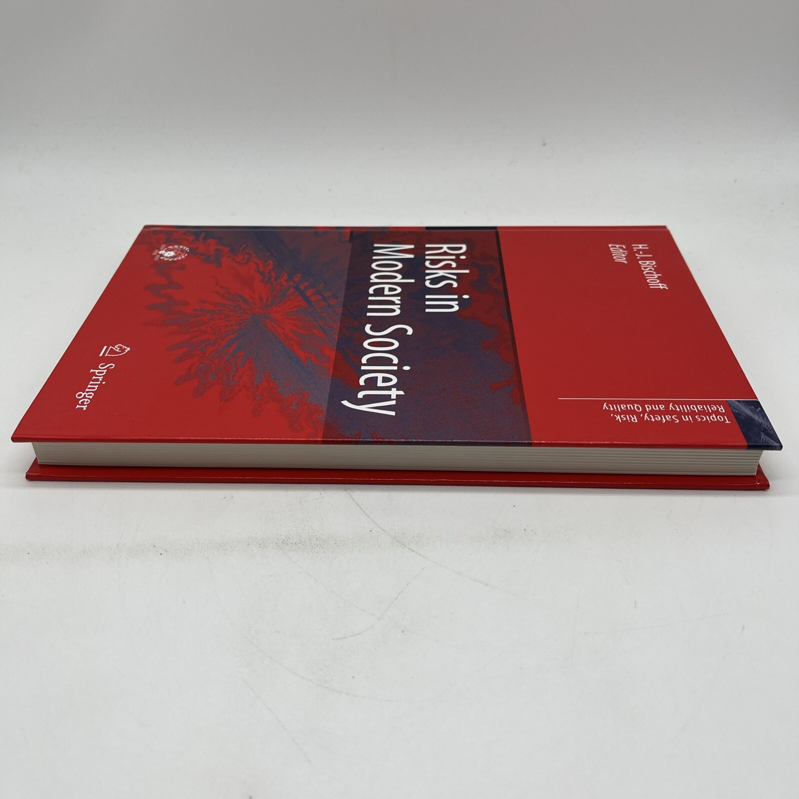 Risks in Modern Society HB by Bischoff Hans-jurgen Topics In Safety Risk Quality