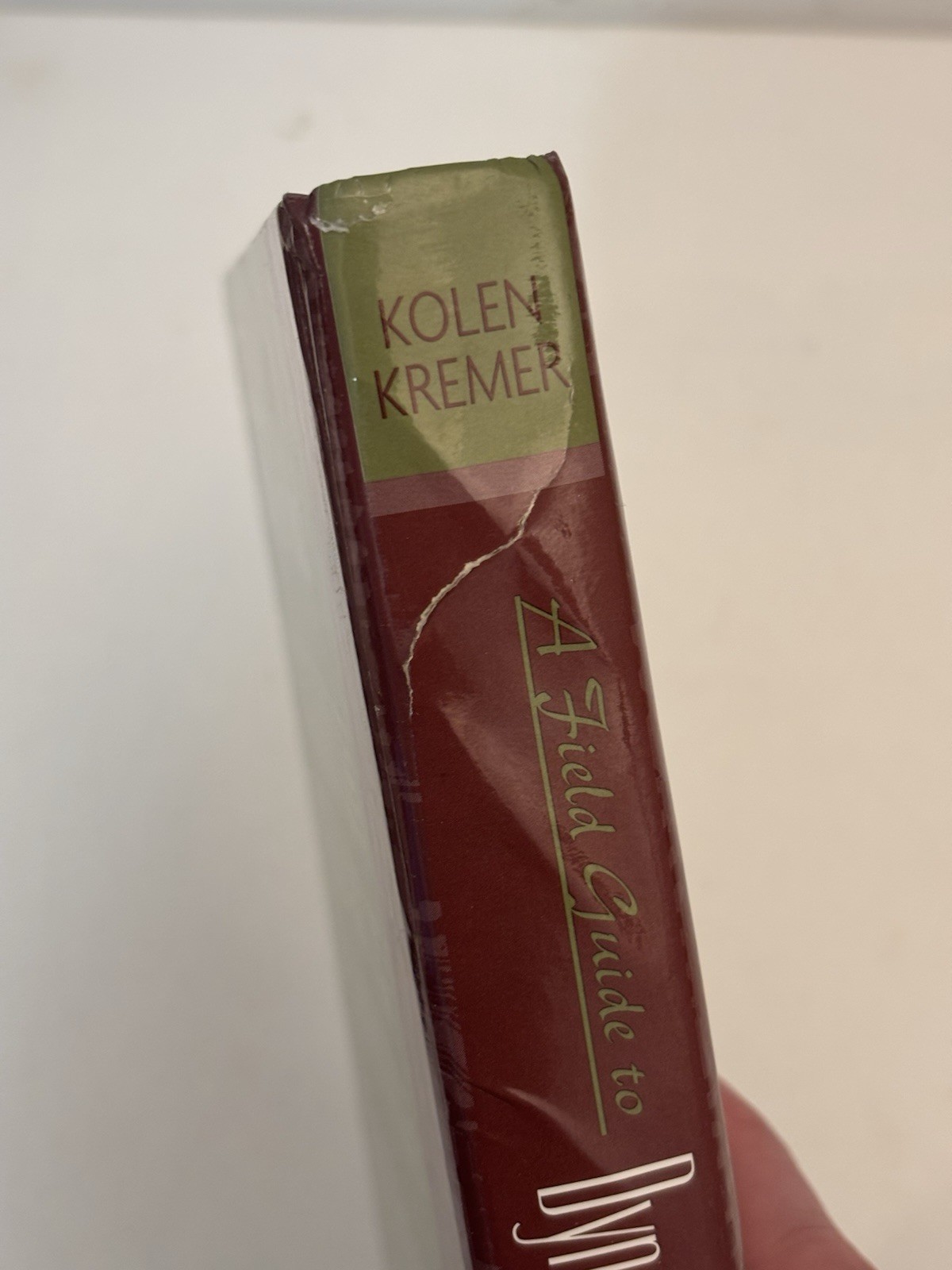 Field Guide to Dynamical Recurrent Networks | Kolen Kremer | IEEE Press HC 2001