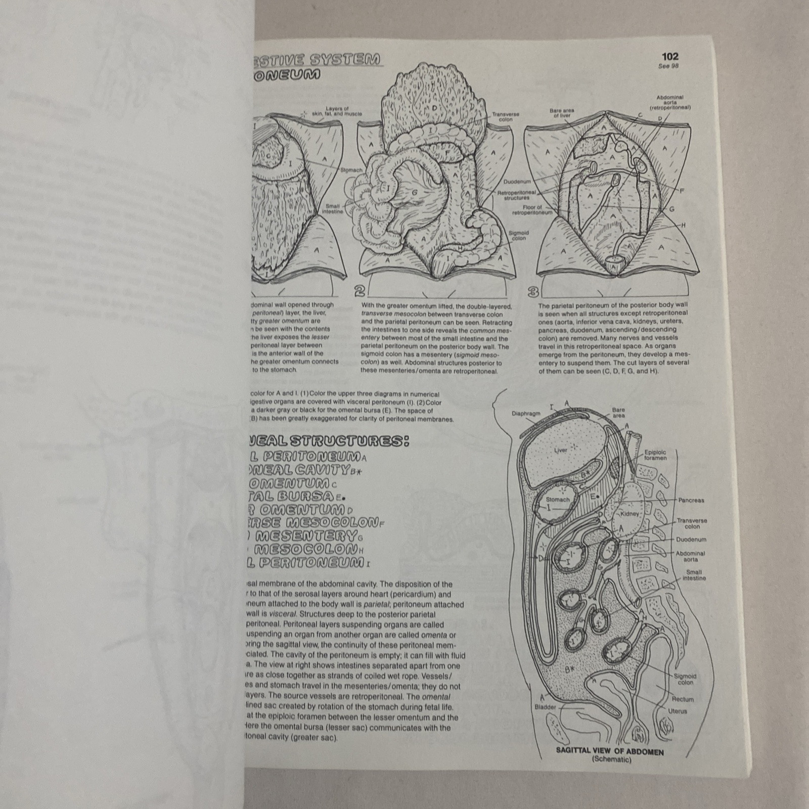 The Anatomy Coloring Book By Wynn Kapit & Lawrence M. Elson 2nd Edition