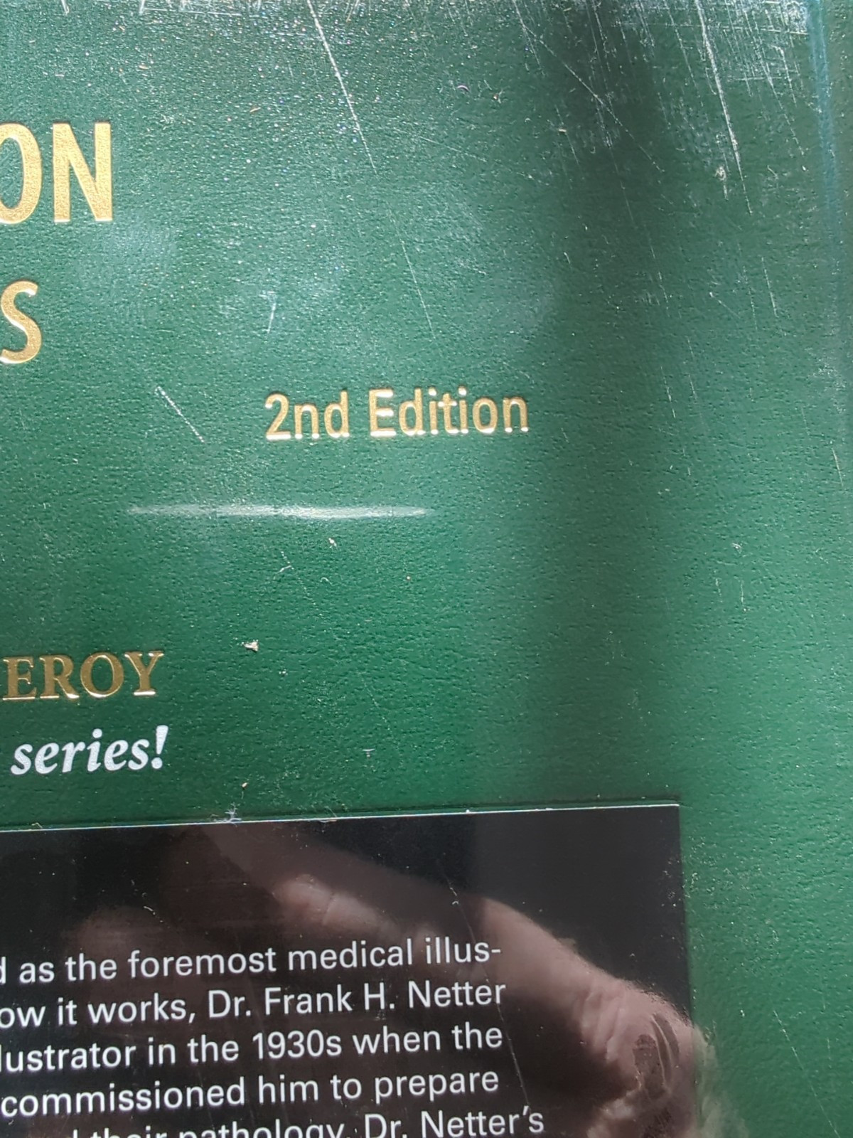 The Netter Collection of Medical Illustrations: Nervous System, Volume 7 NEW