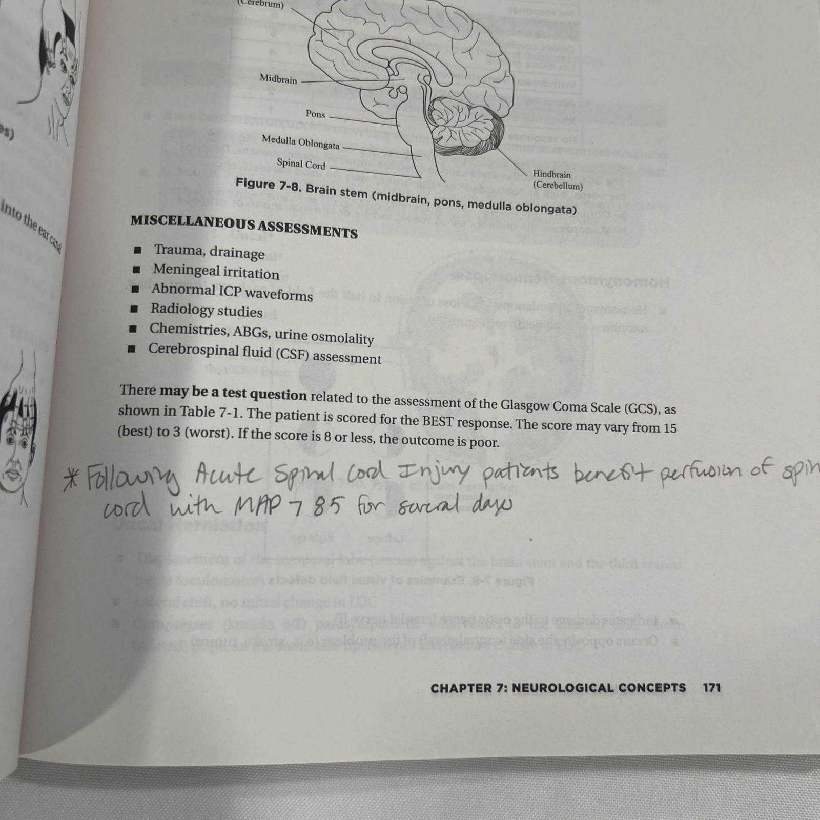 Adult CCRN Exam Premium: Study Guide by Pat Juarez (2022, Trade Paperback)