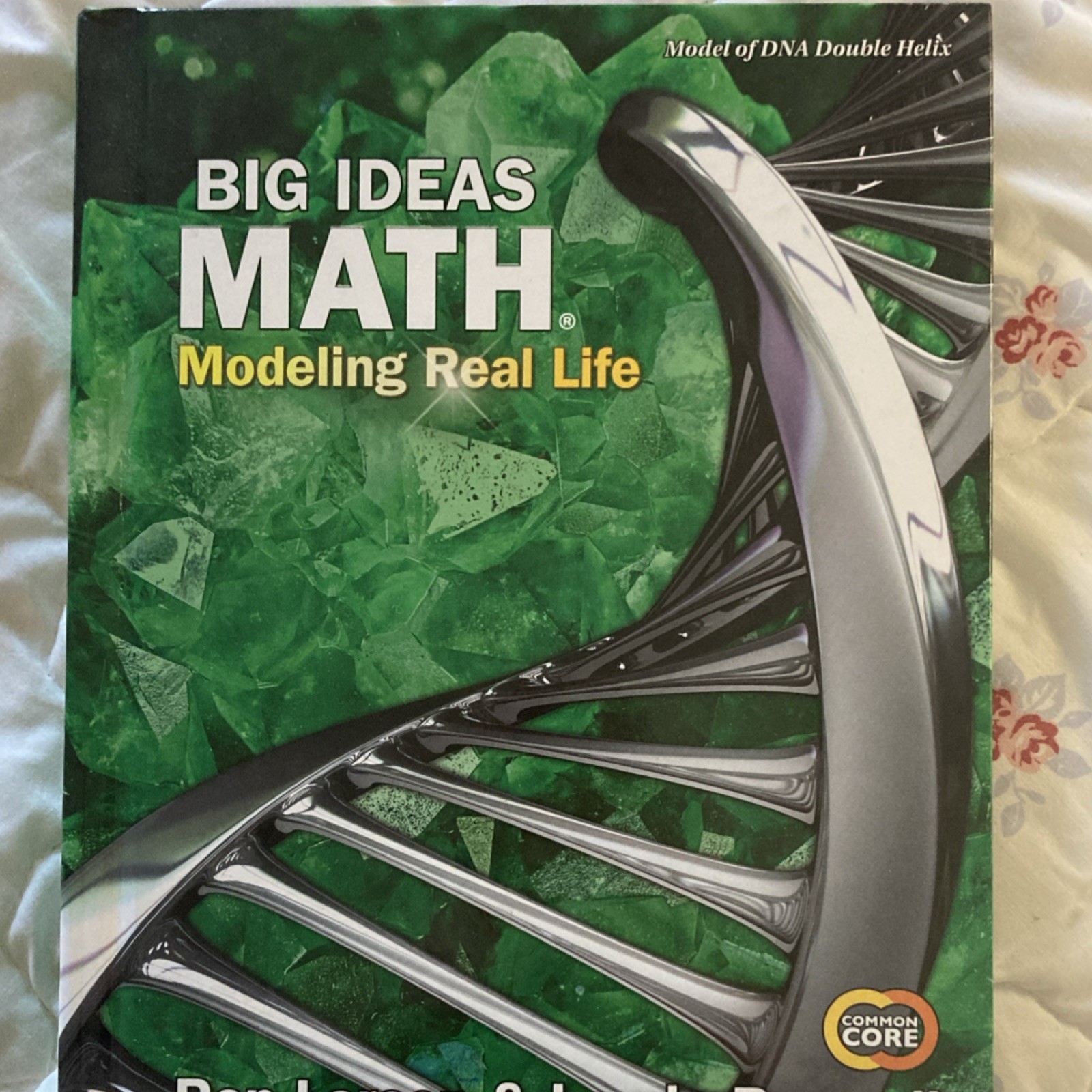 Big Ideas Math: Modeling Real Life Common Core 2019 Hardcover Textbook