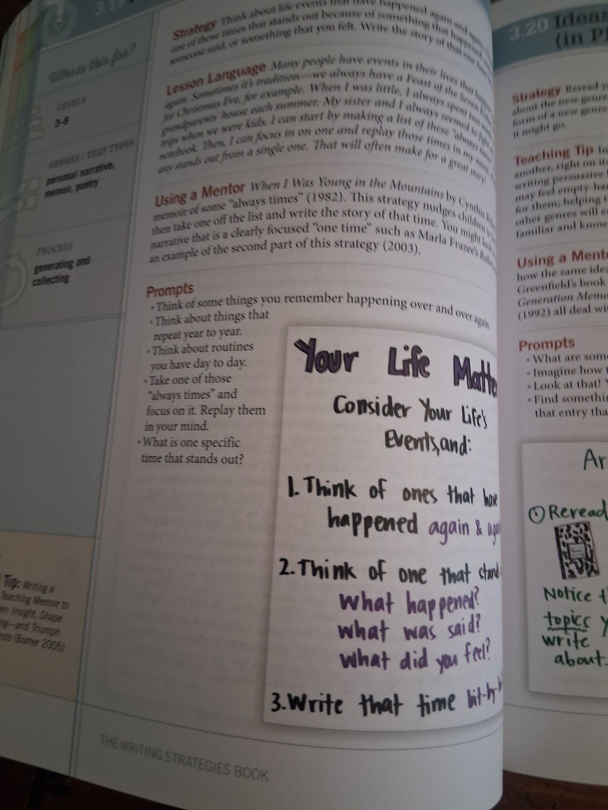 The Writing Strategies Book by Jennifer Serravallo (410 pages) Softcover