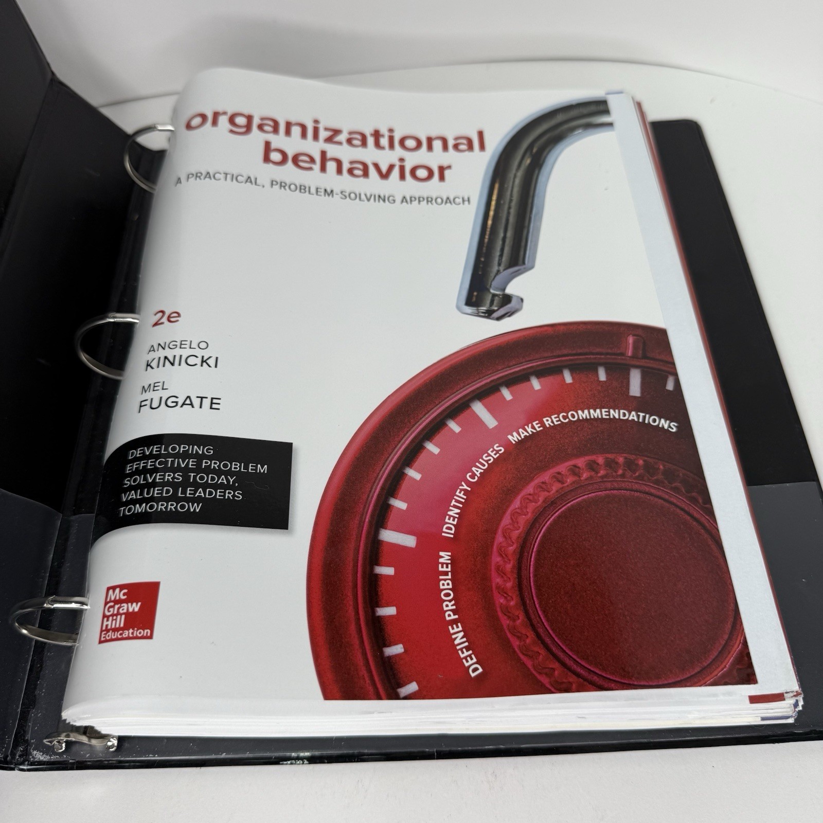 ORGANIZATIONAL BEHAVIOR Loose-Leaf By Kinicki (9781259732645) 2nd ed. Good