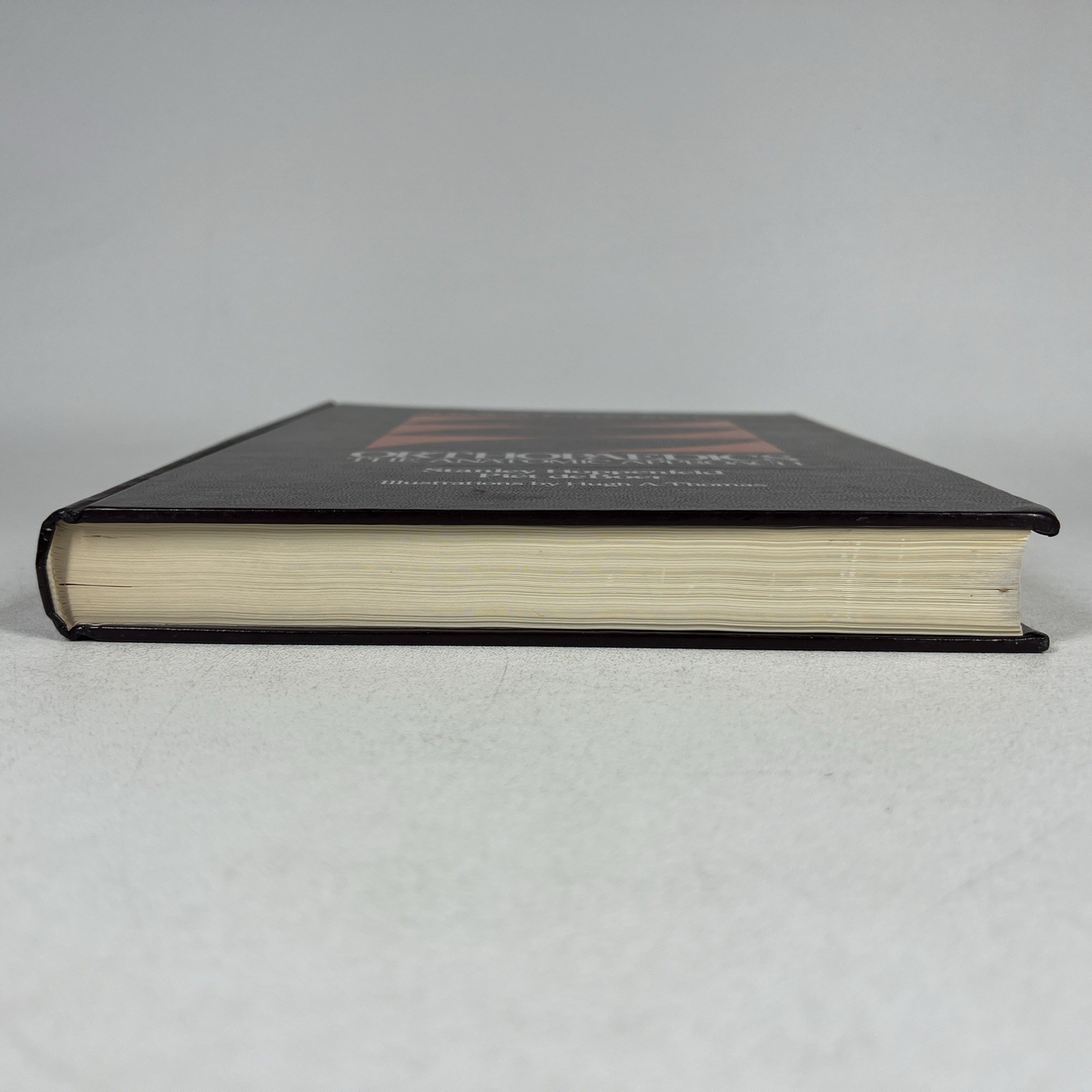 Surgical Exposures in Orthopaedics Hardcover Stanley Hoppenfeld