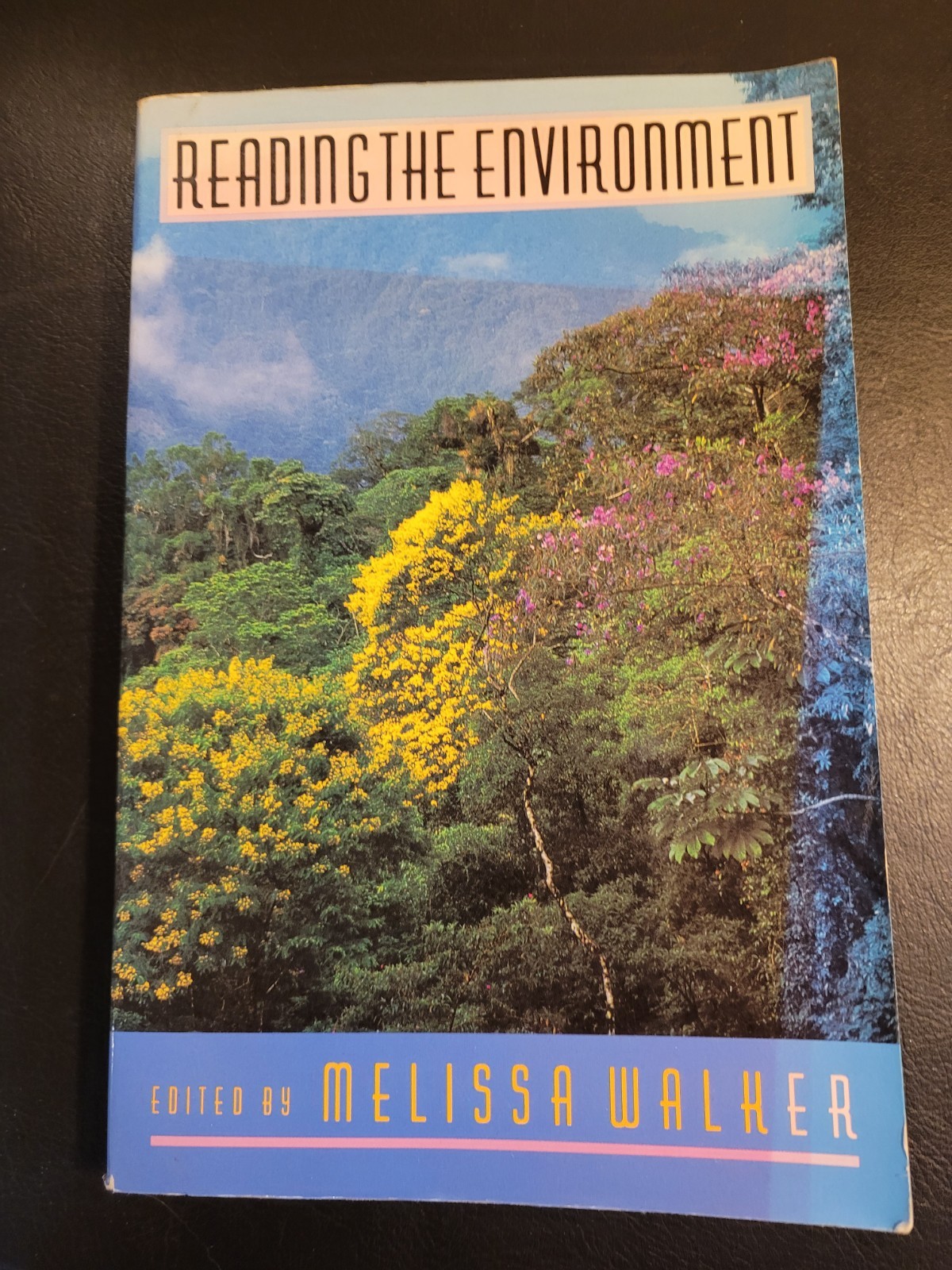 Vtg 1994 “Reading the Environment” by Melissa Walker. Paperback.