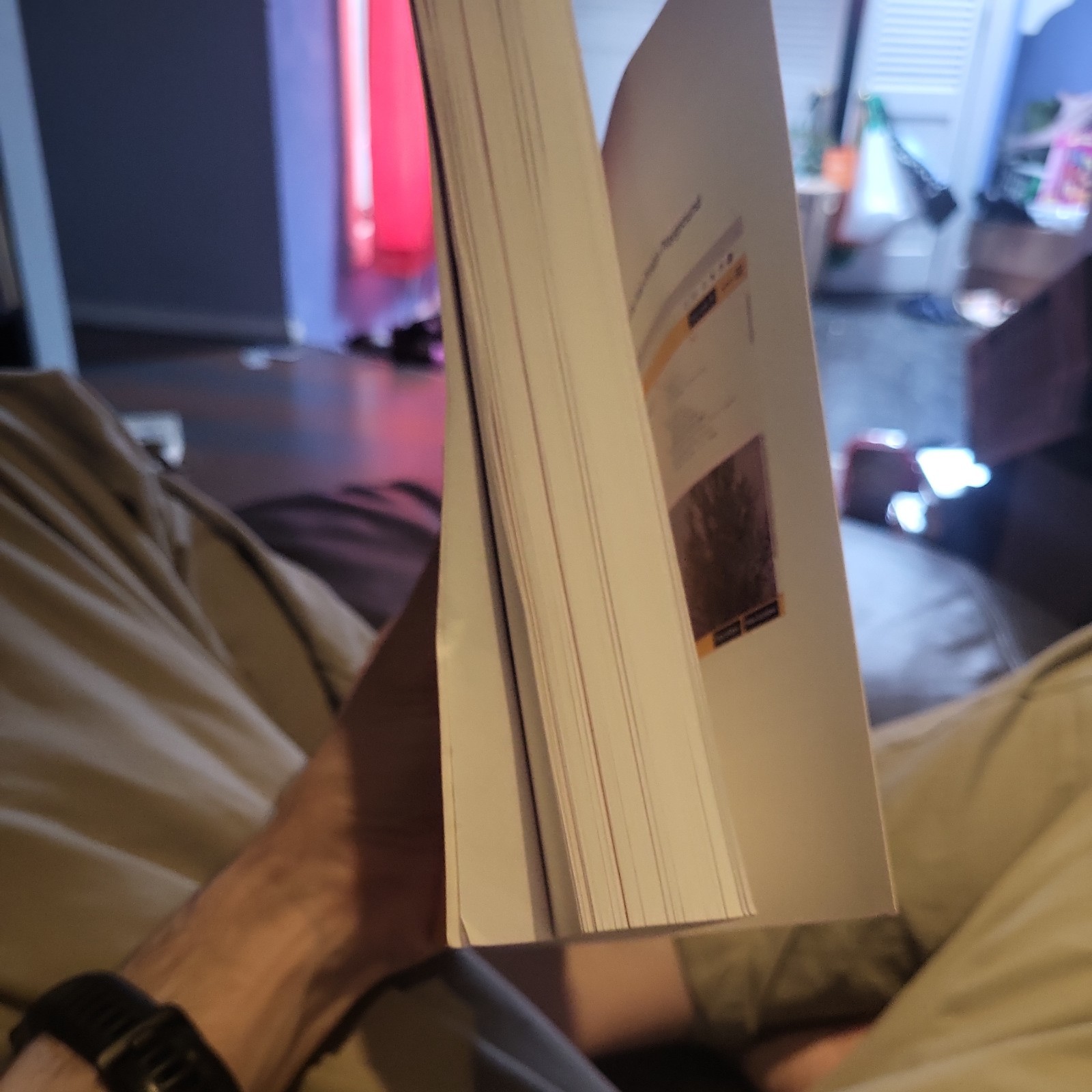 Paul McFedries Web Design Playground, Second Edition (Hardback)